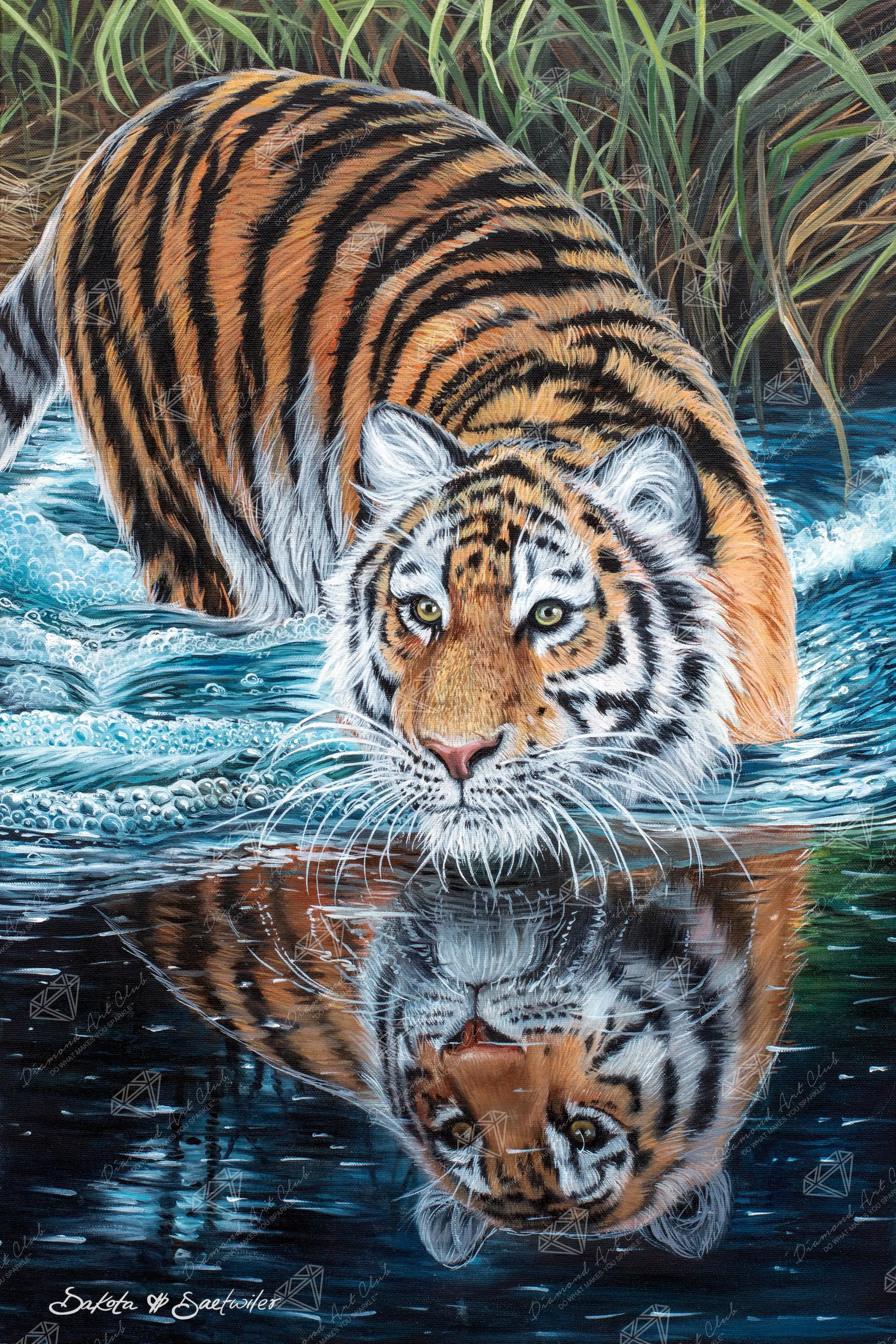 Tiger in Water