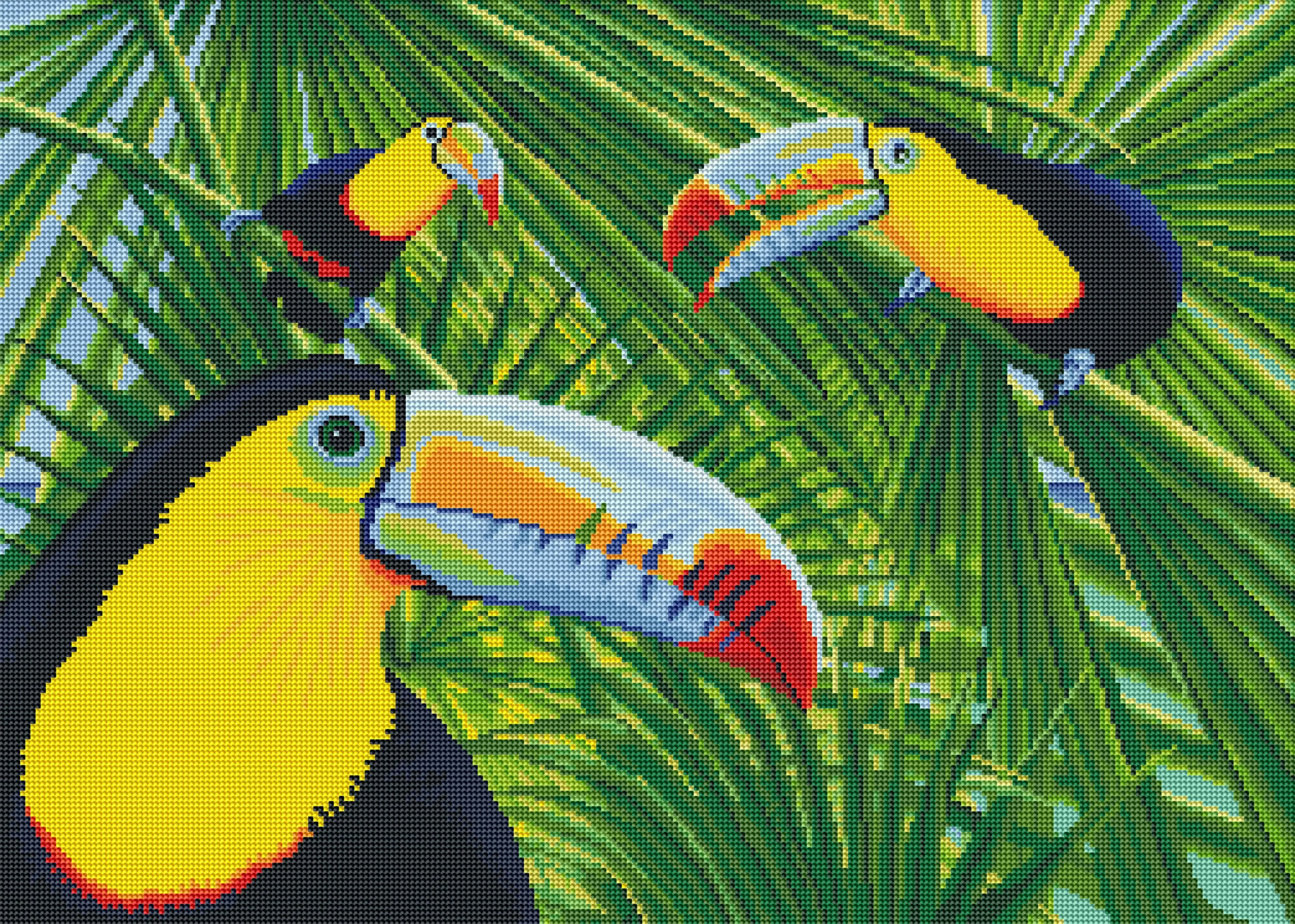 3504-toucan-threesome-1.webp