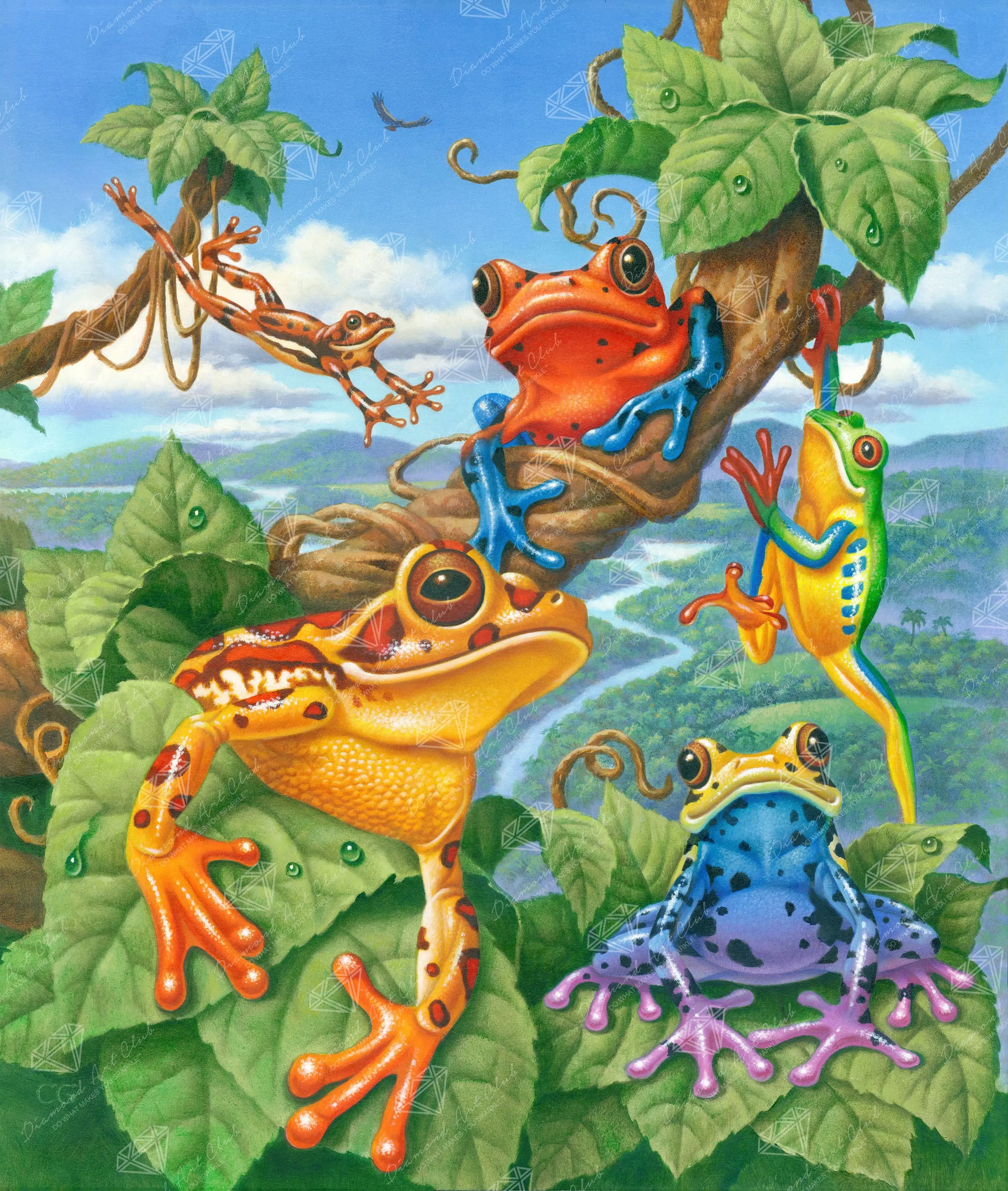 3512-tree-frogs-1.webp