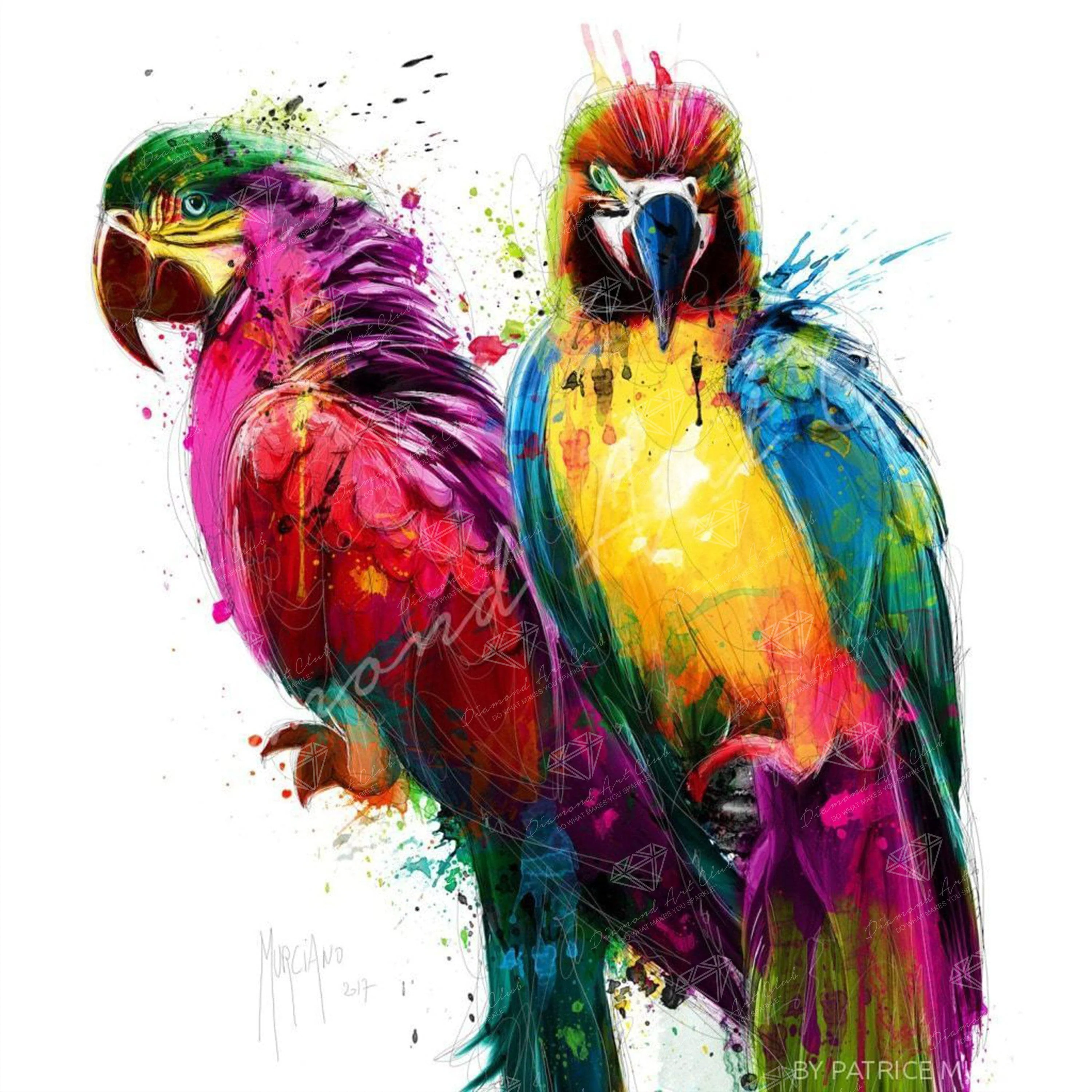 Tropical Birds