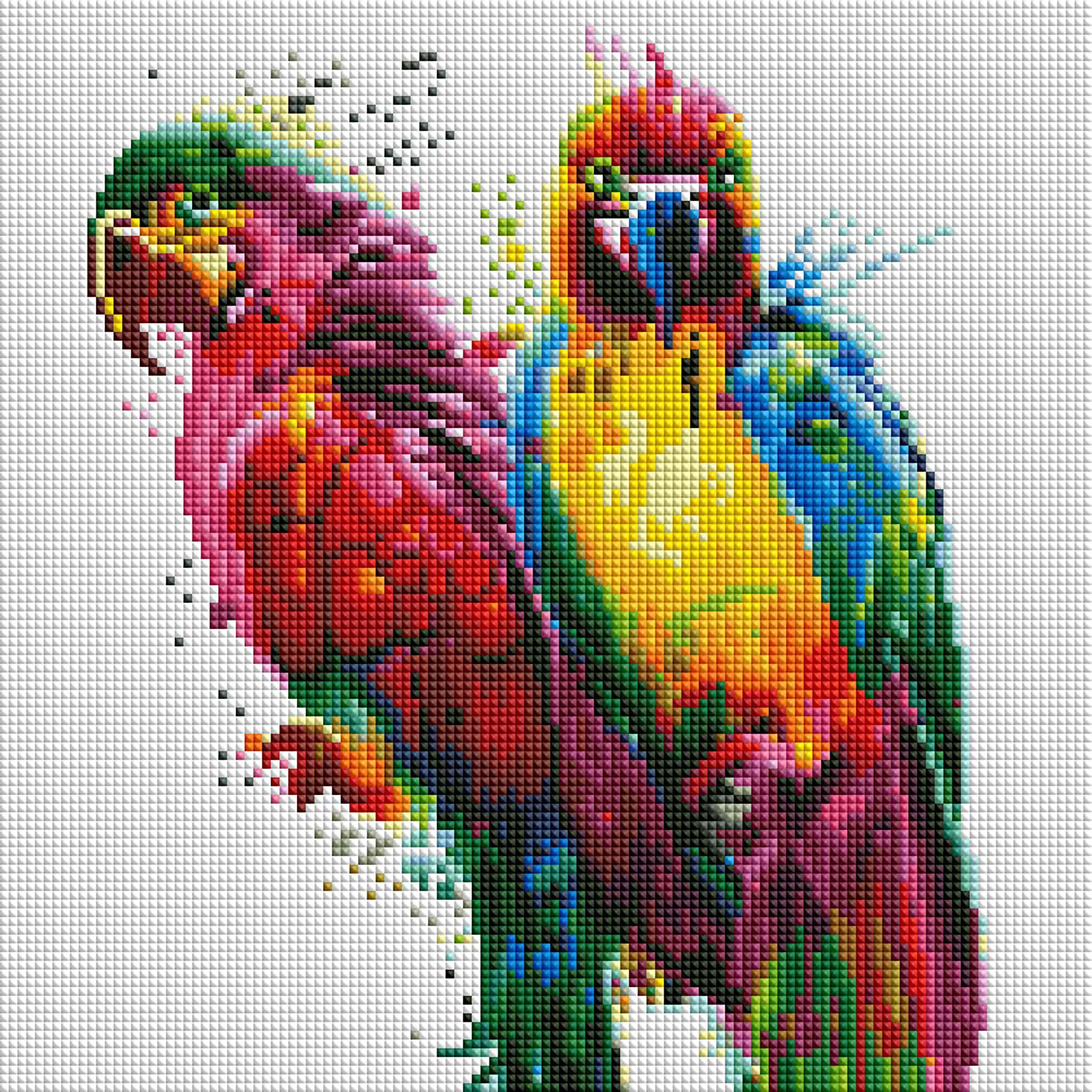 3523-tropical-birds-1.webp