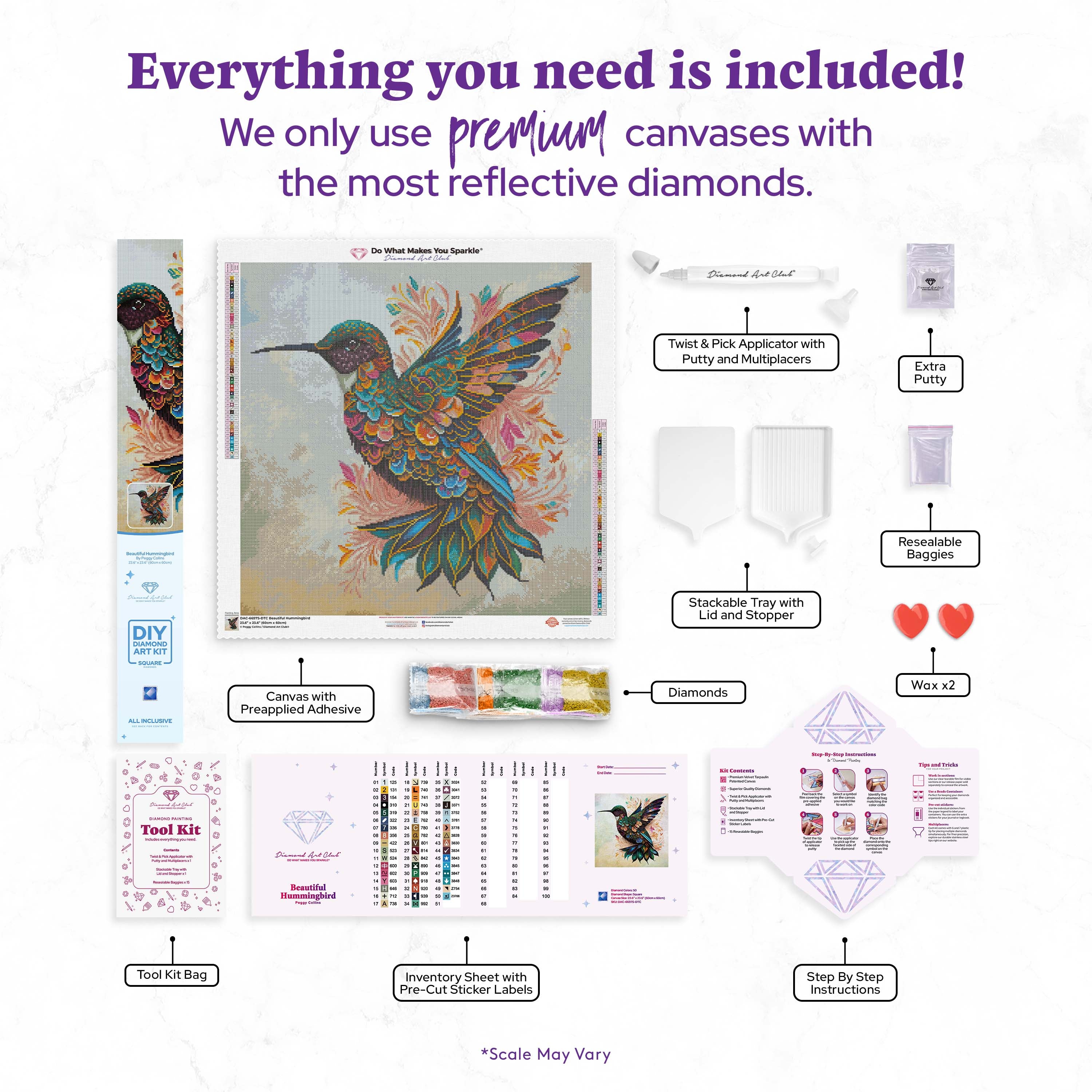 353-beautiful-hummingbird-1.webp