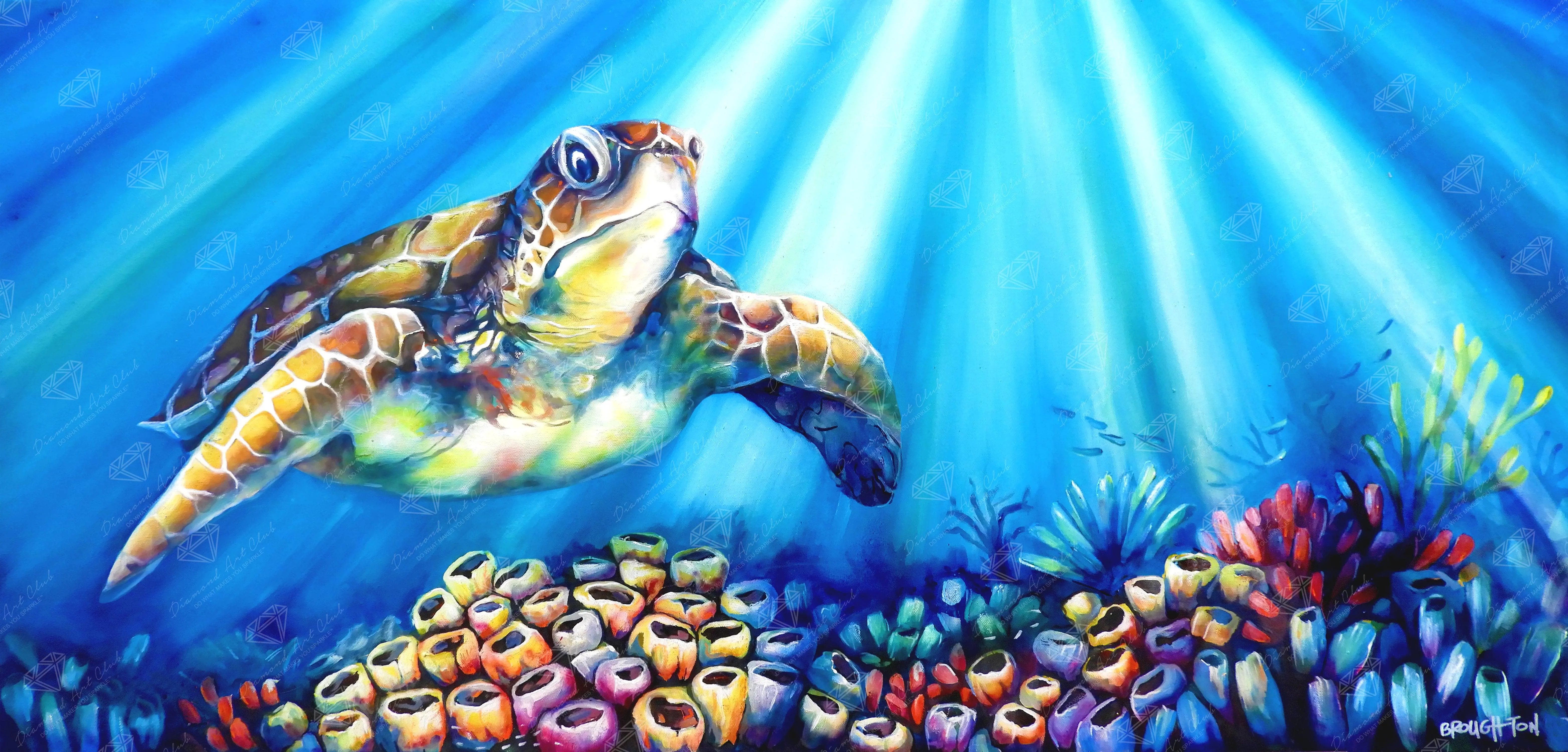 Turtle Reef