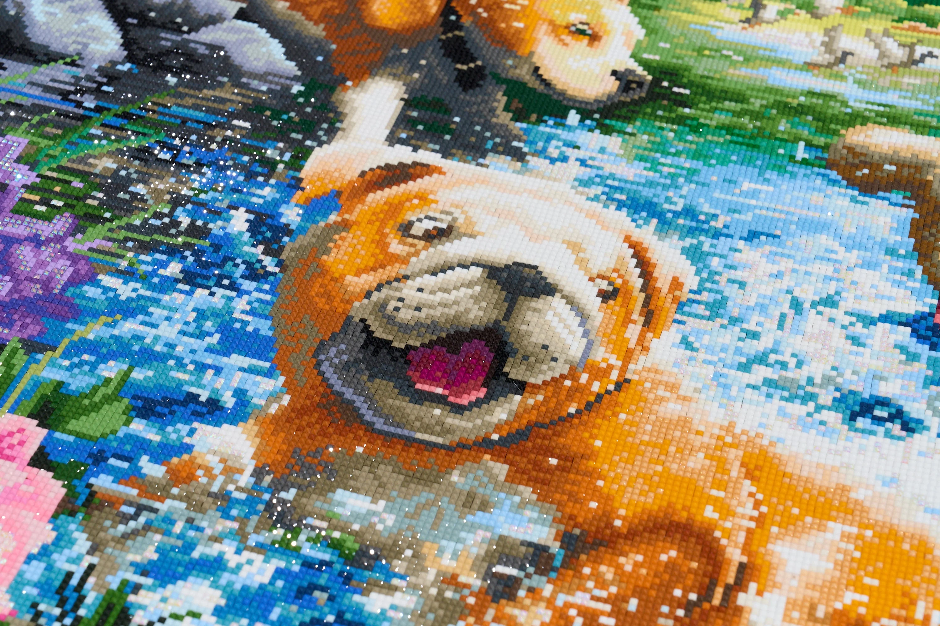 3614-waiting-at-the-swimming-hole-1.webp