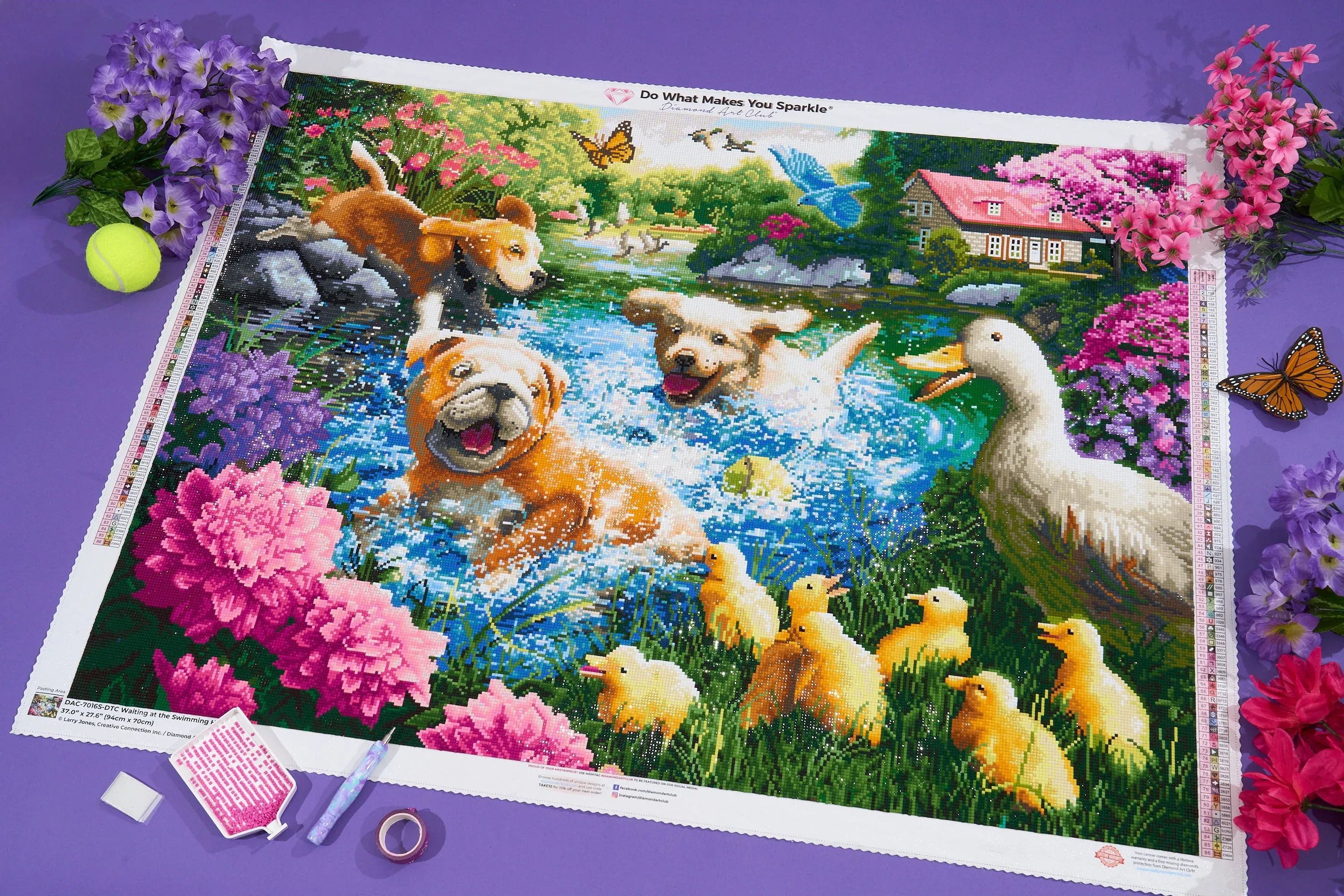 3614-waiting-at-the-swimming-hole-1.webp