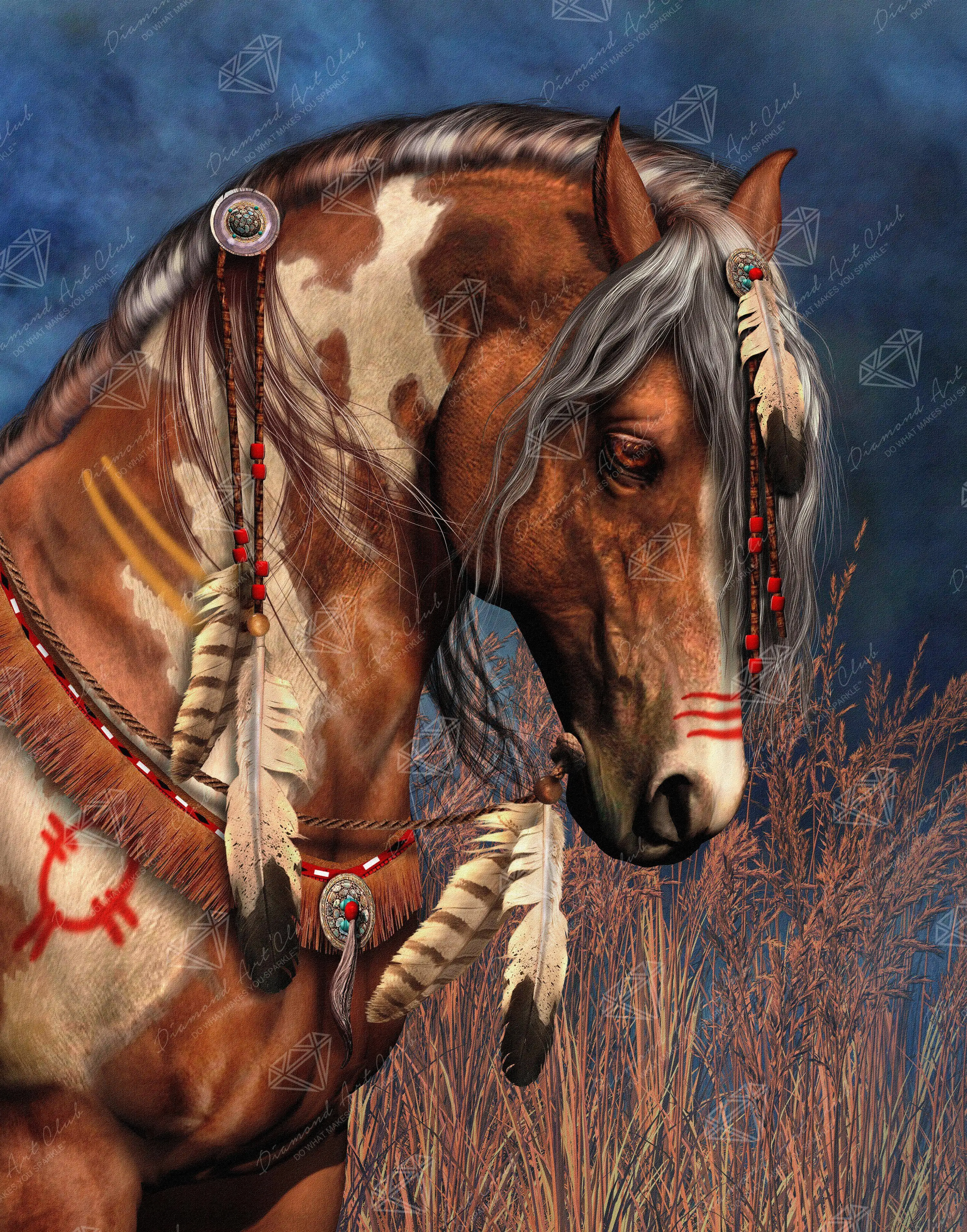 War Pony