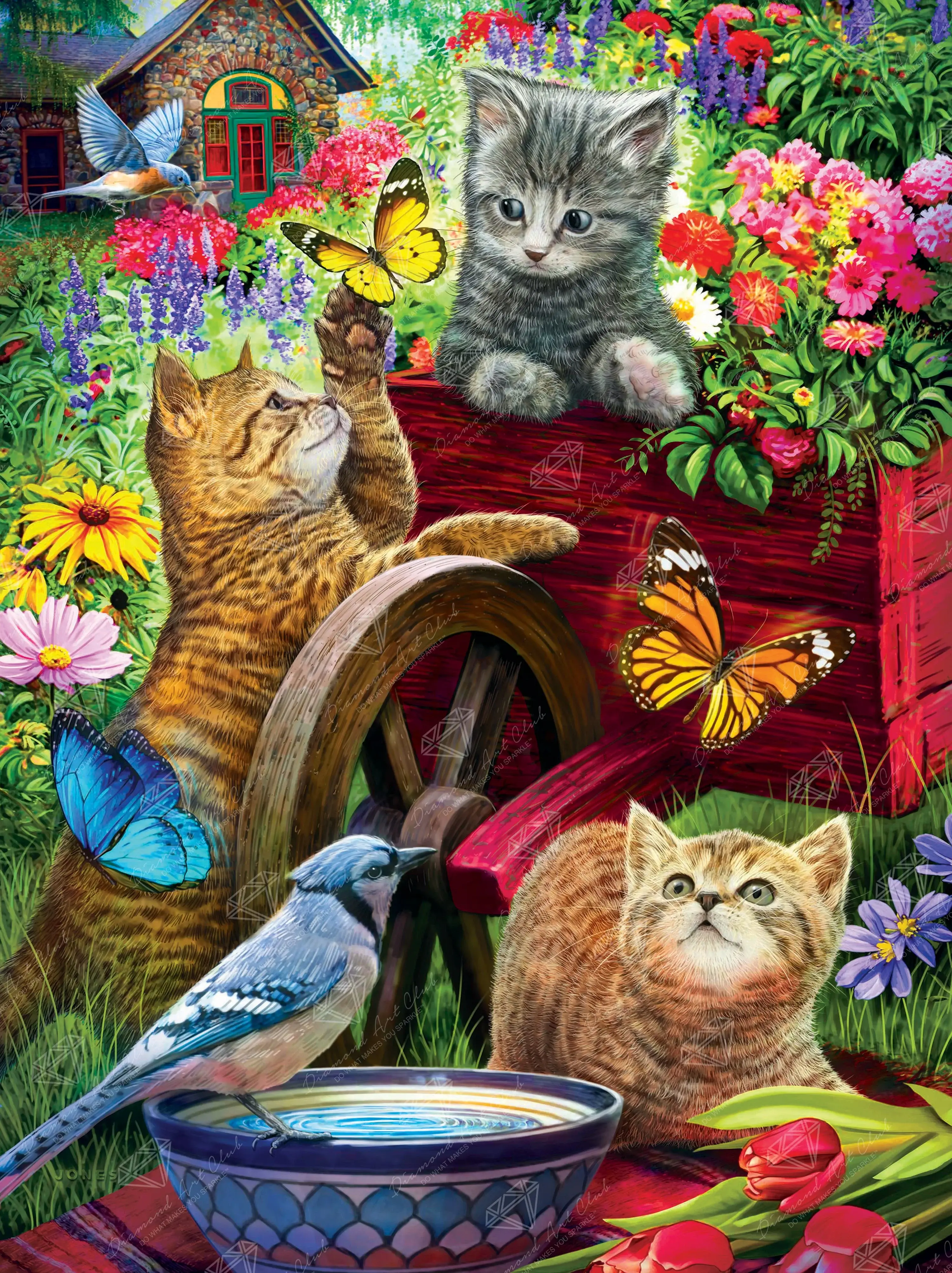 Wheelbarrow of Fun