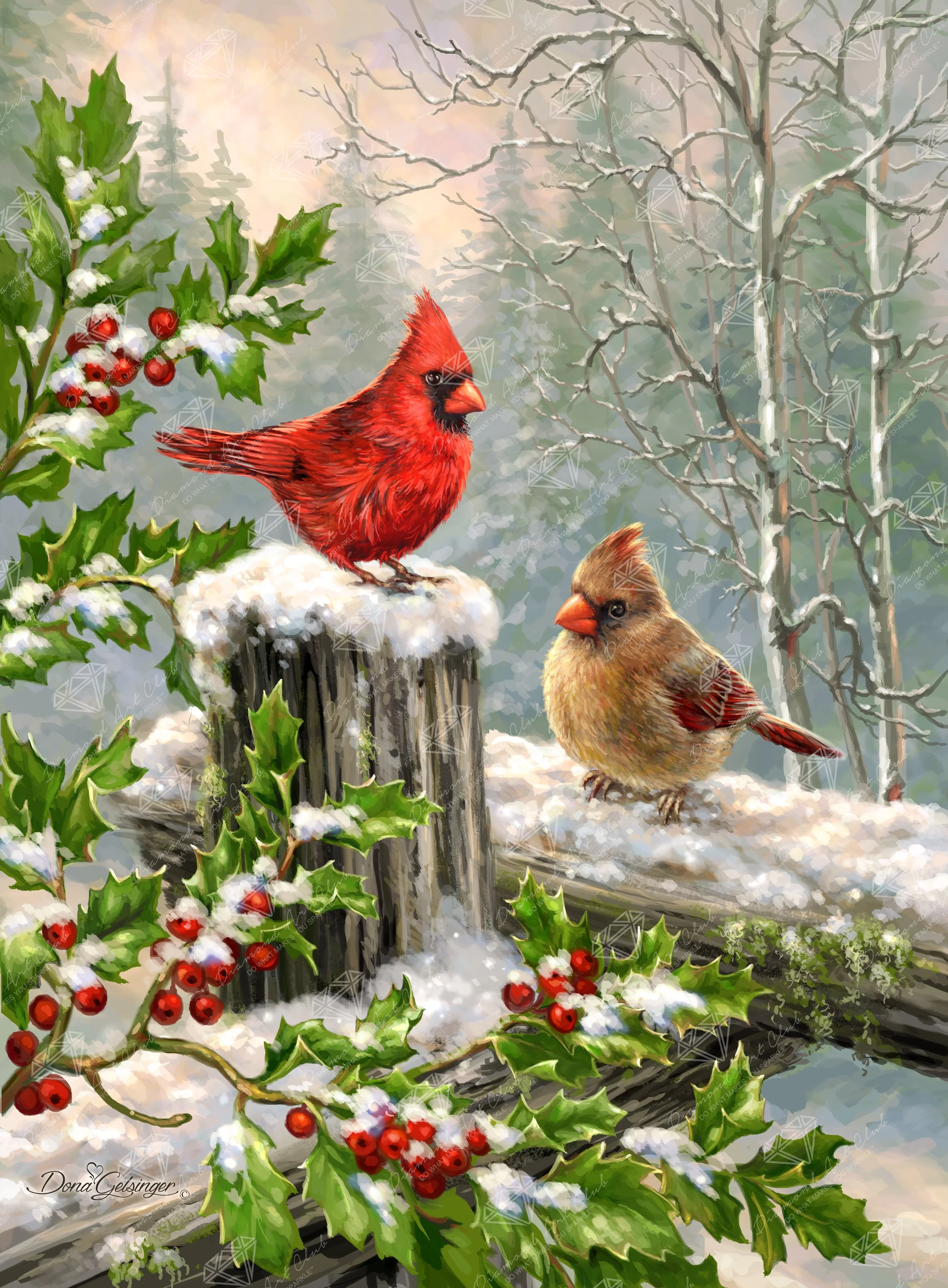 Winter Visitors