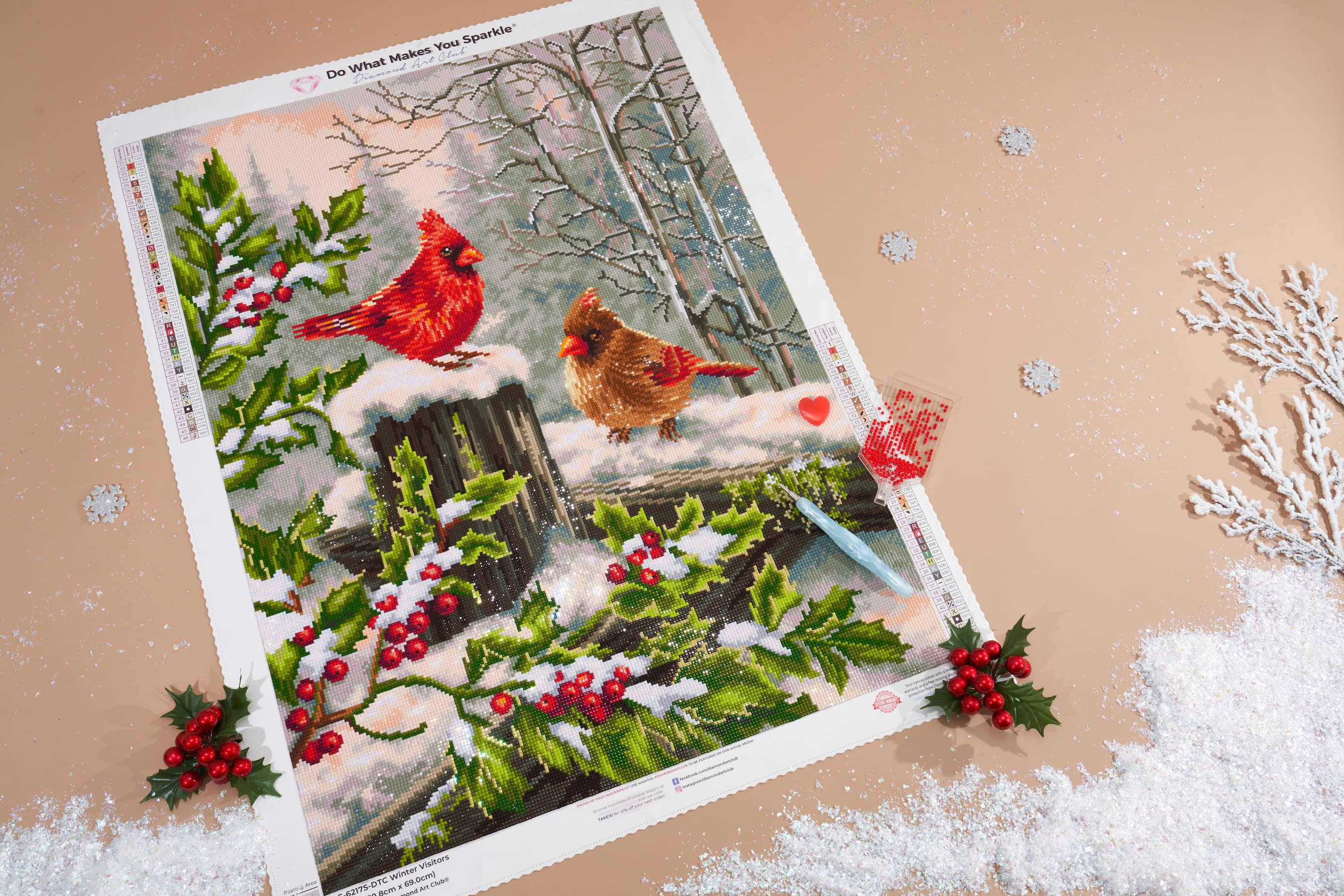 3718-winter-visitors-1.webp