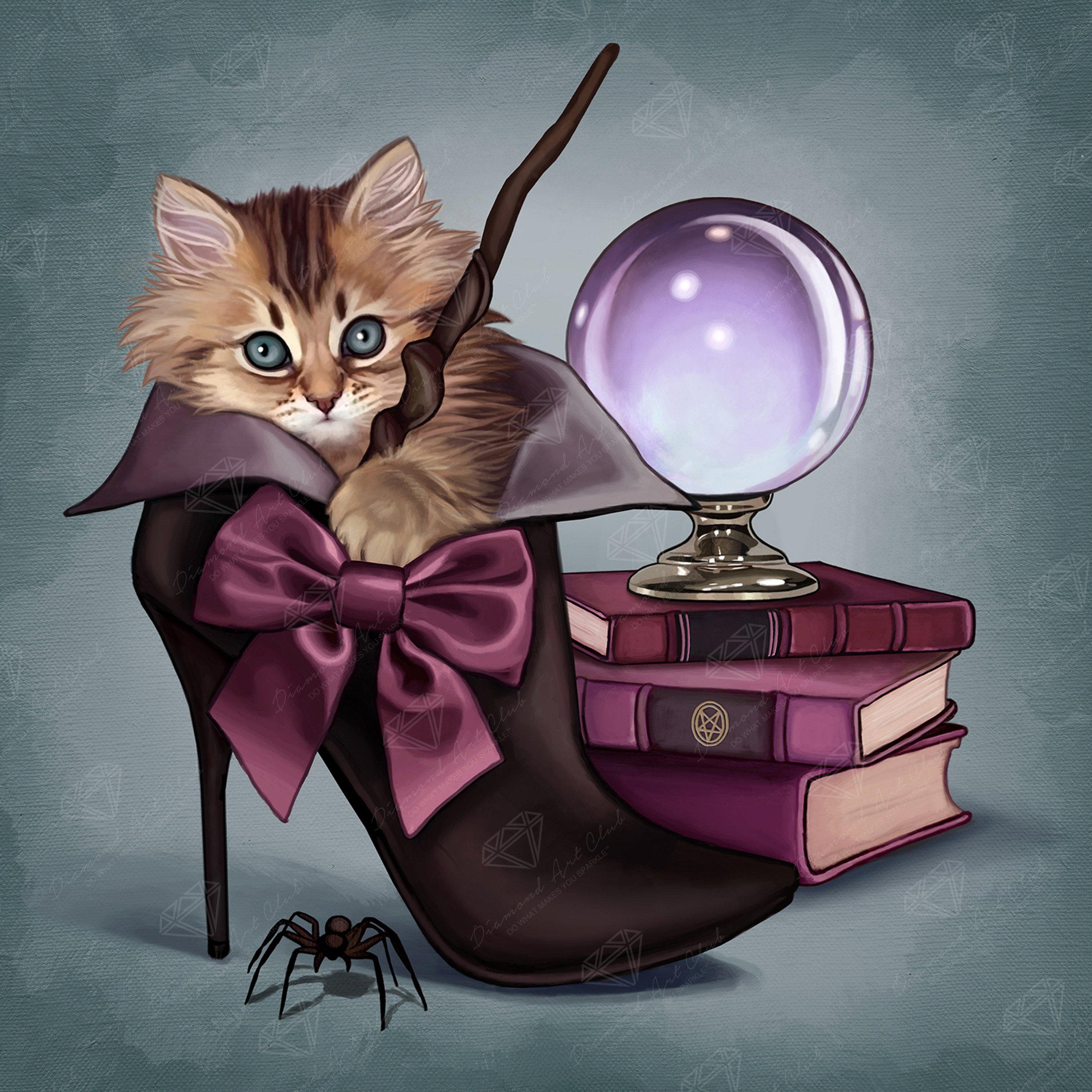 3750-wizard-kitten-1.jpg