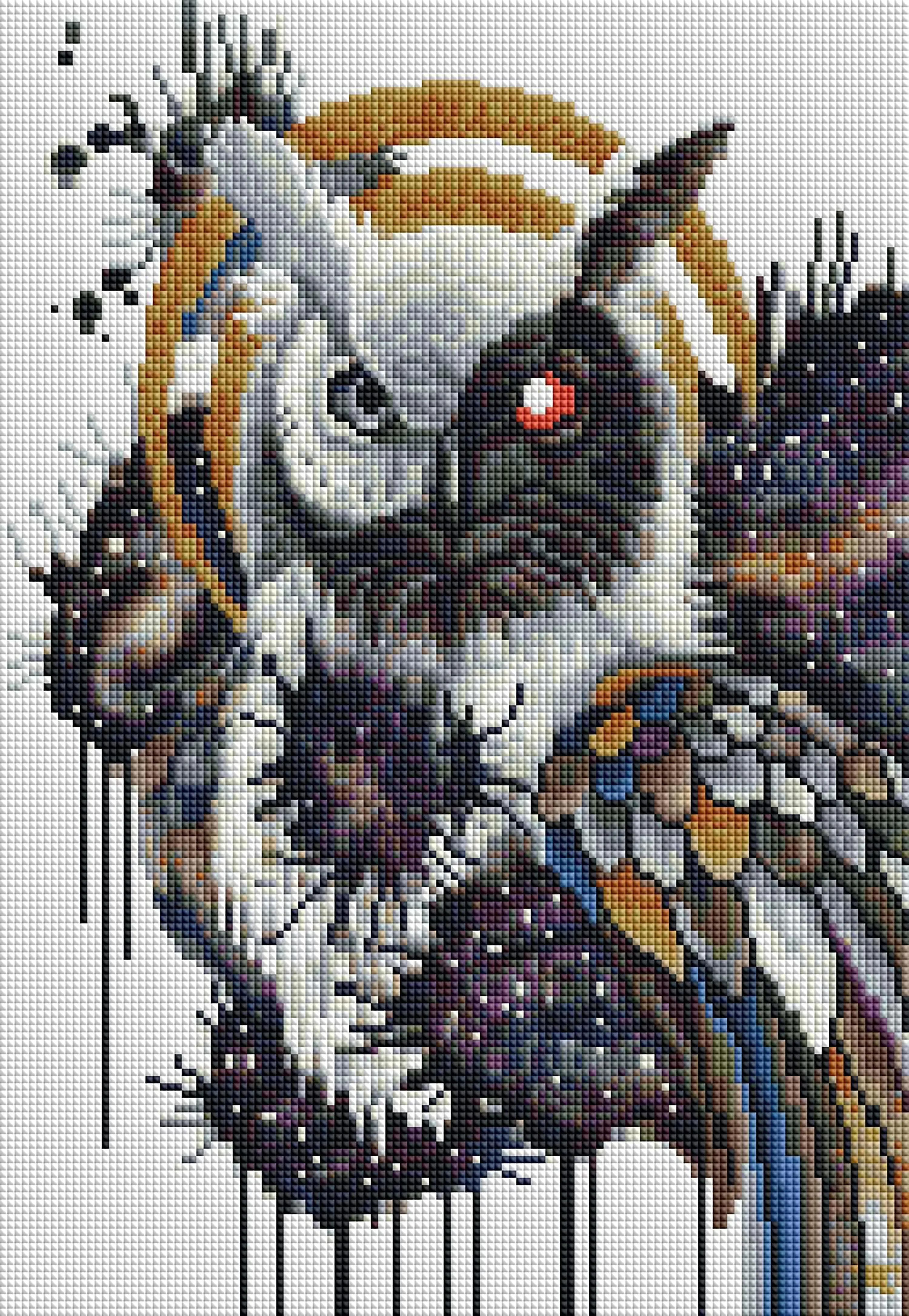 Yin Yang Owl