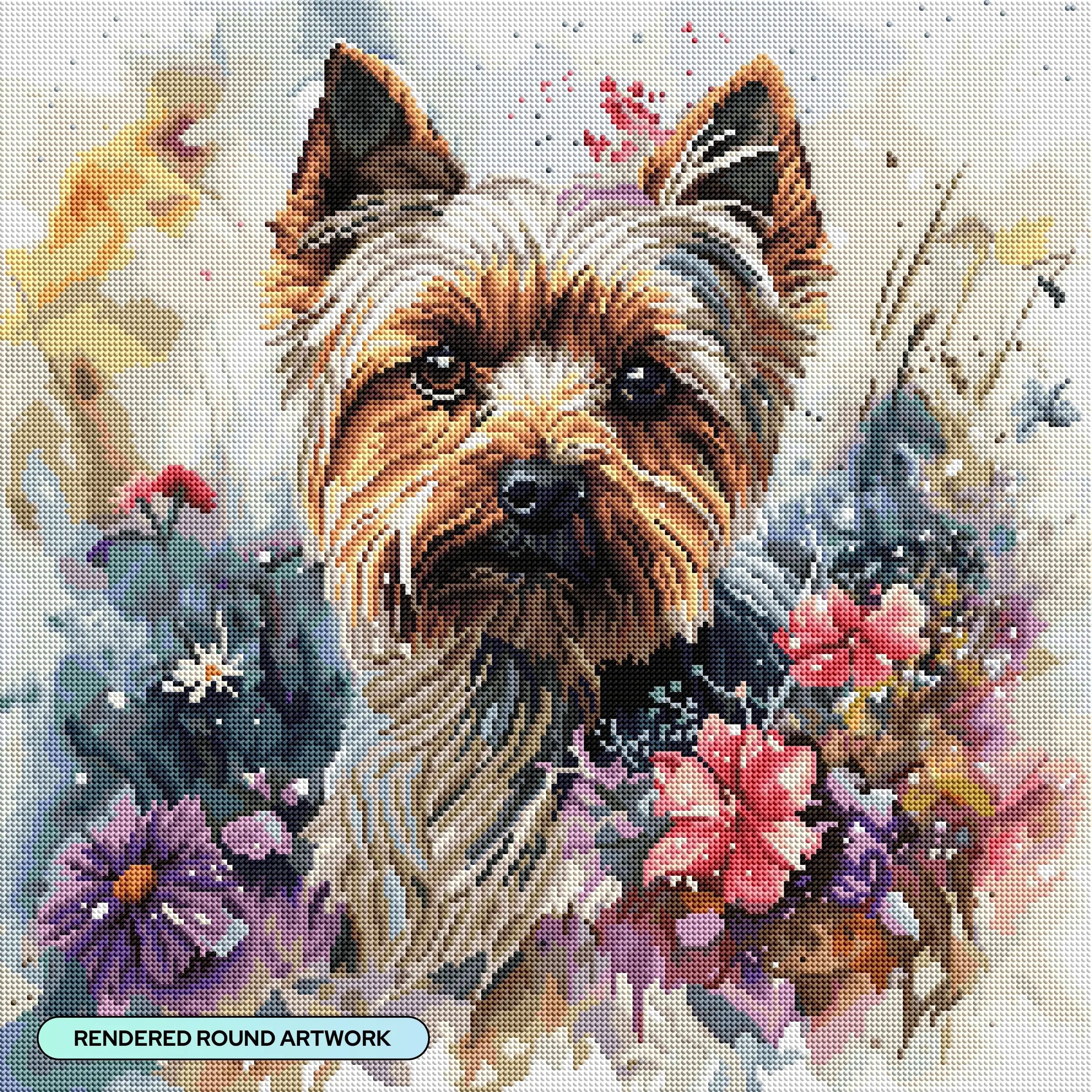 Yorkie