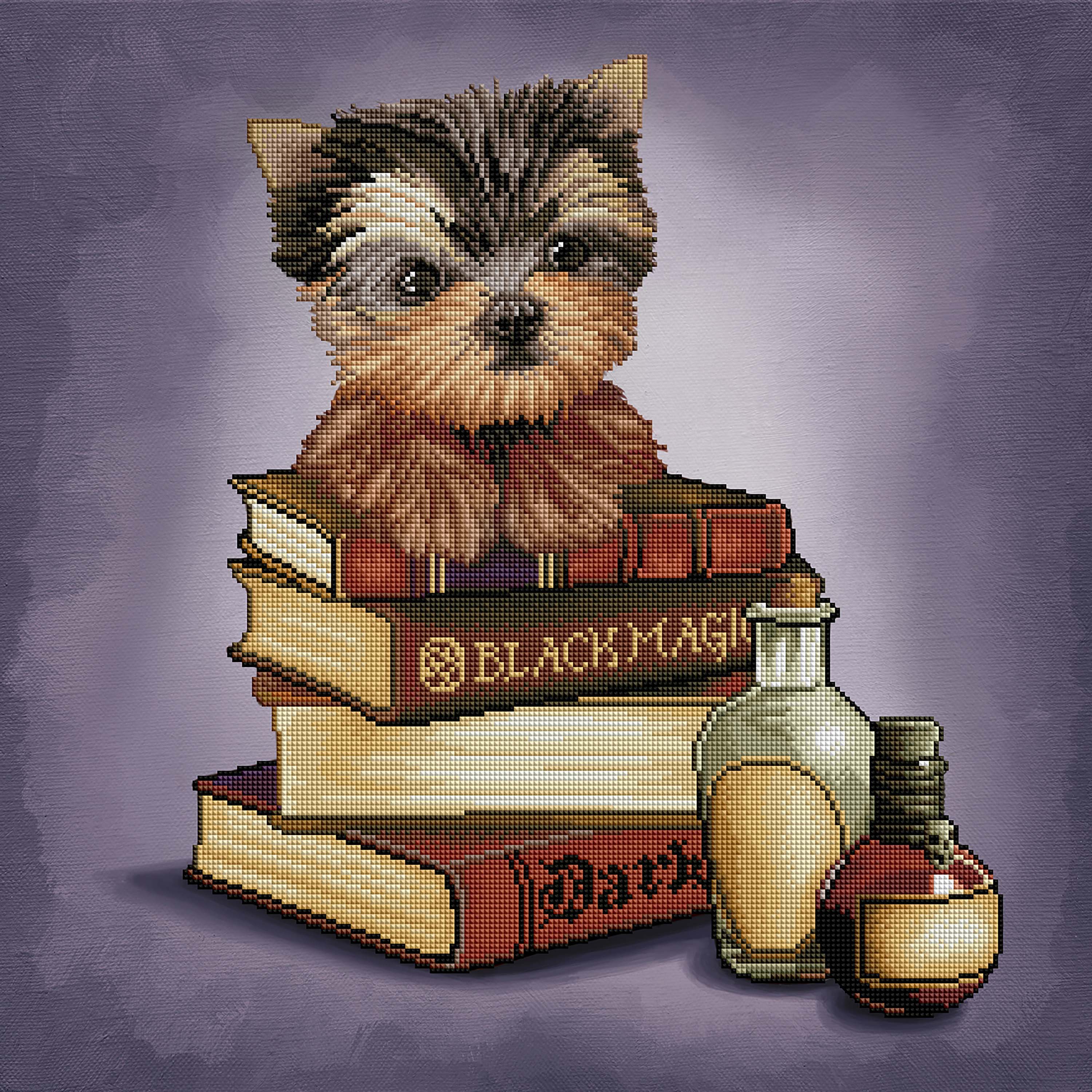 3792-yorkie-magic-books-1.jpg
