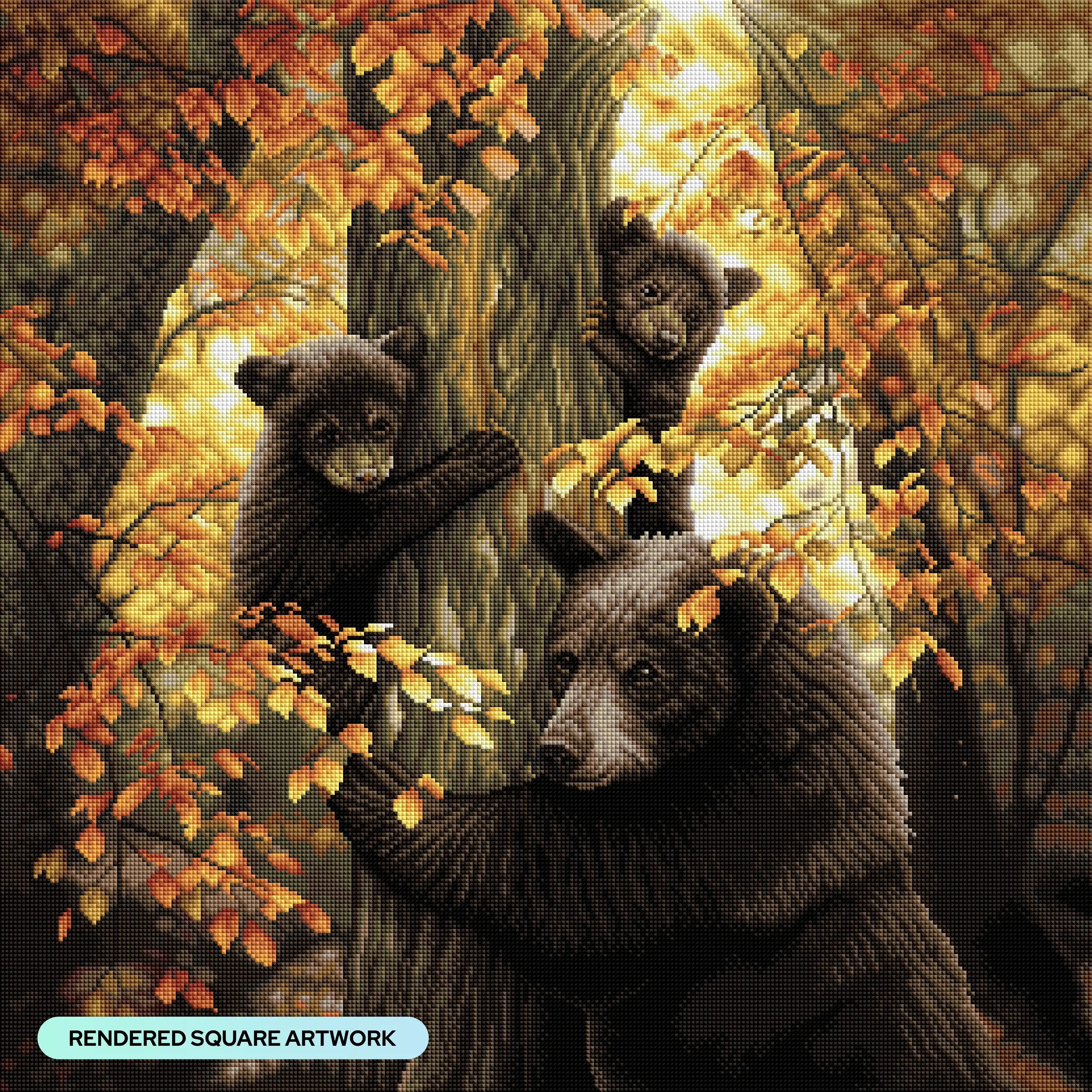 Black Bears