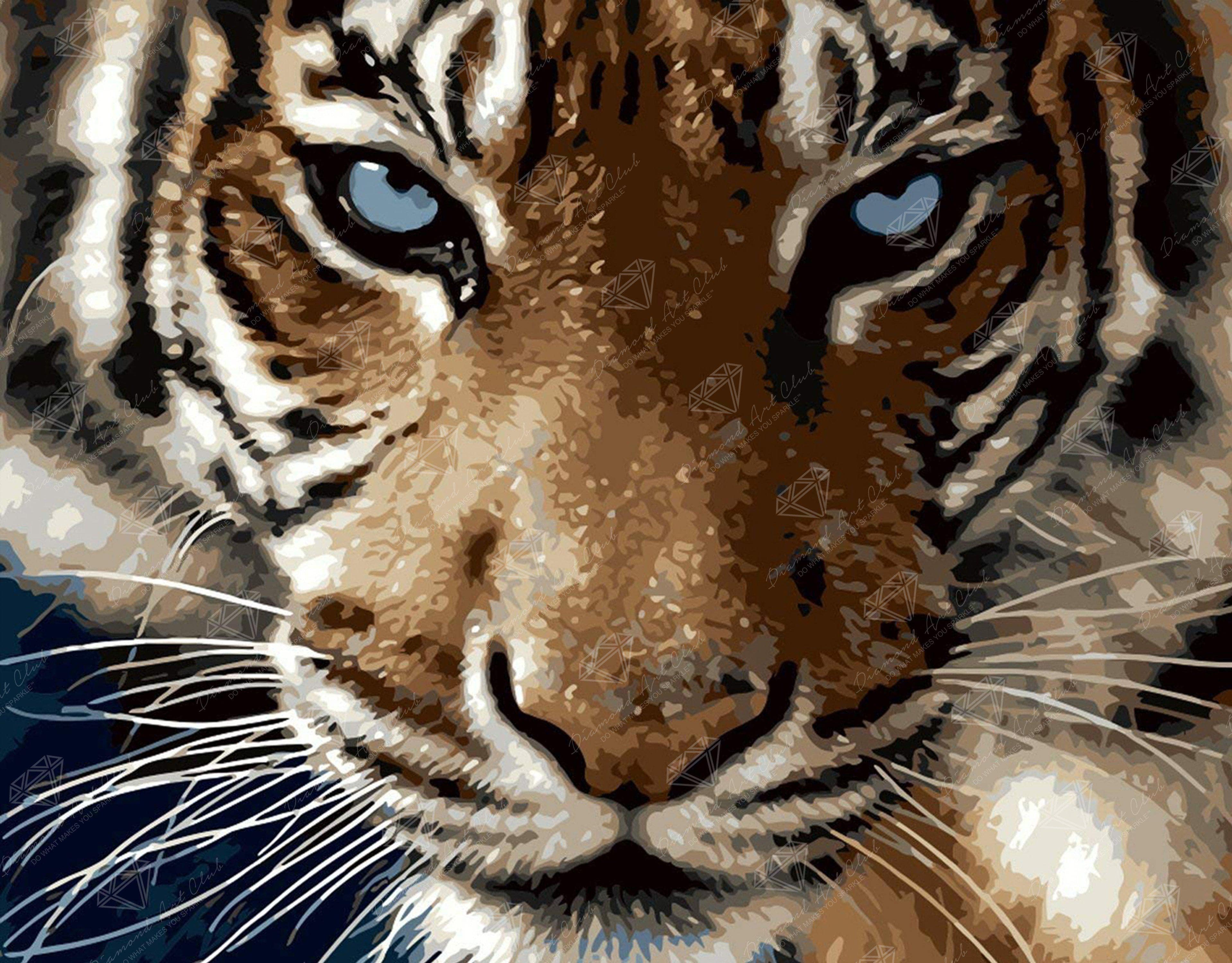 Blue Eyed Tiger