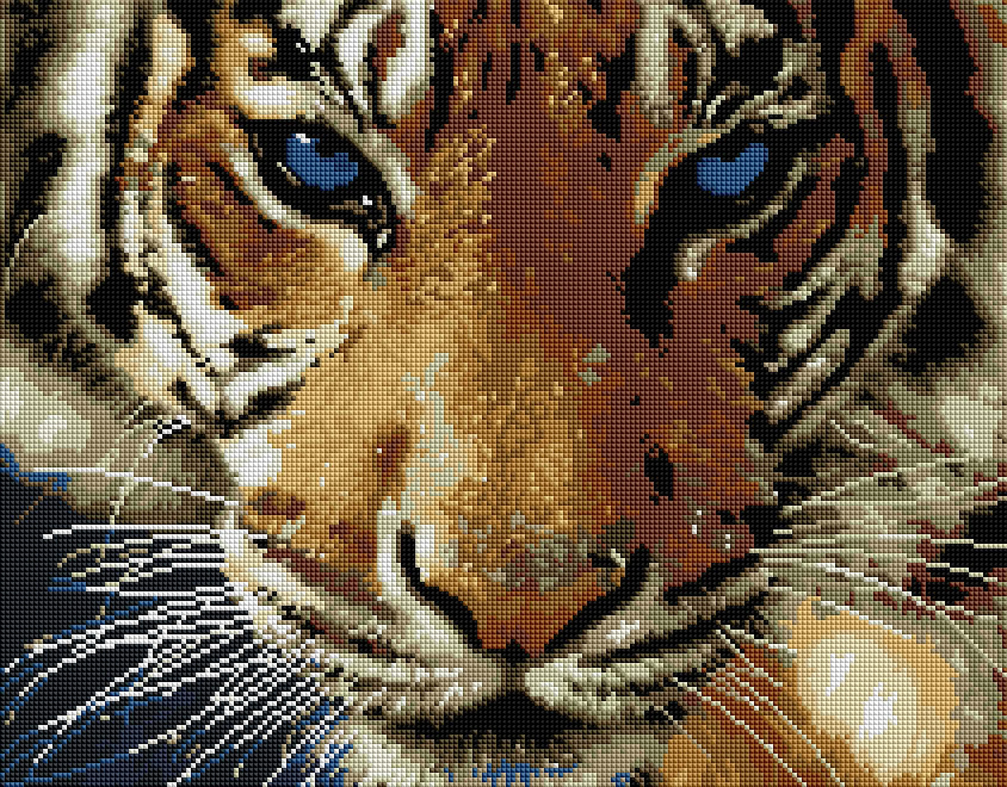 Blue Eyed Tiger