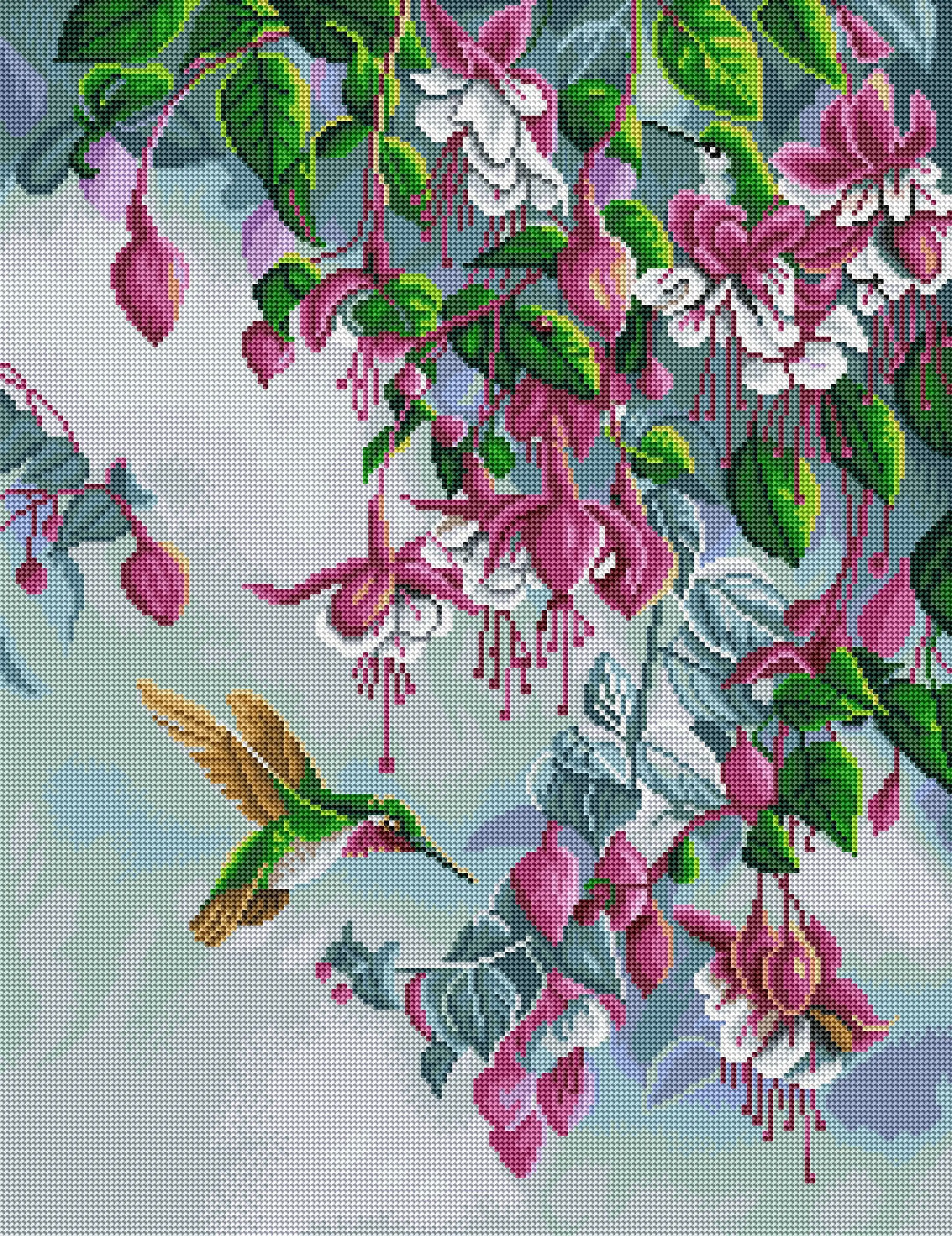 Broadtail and Fuchsia