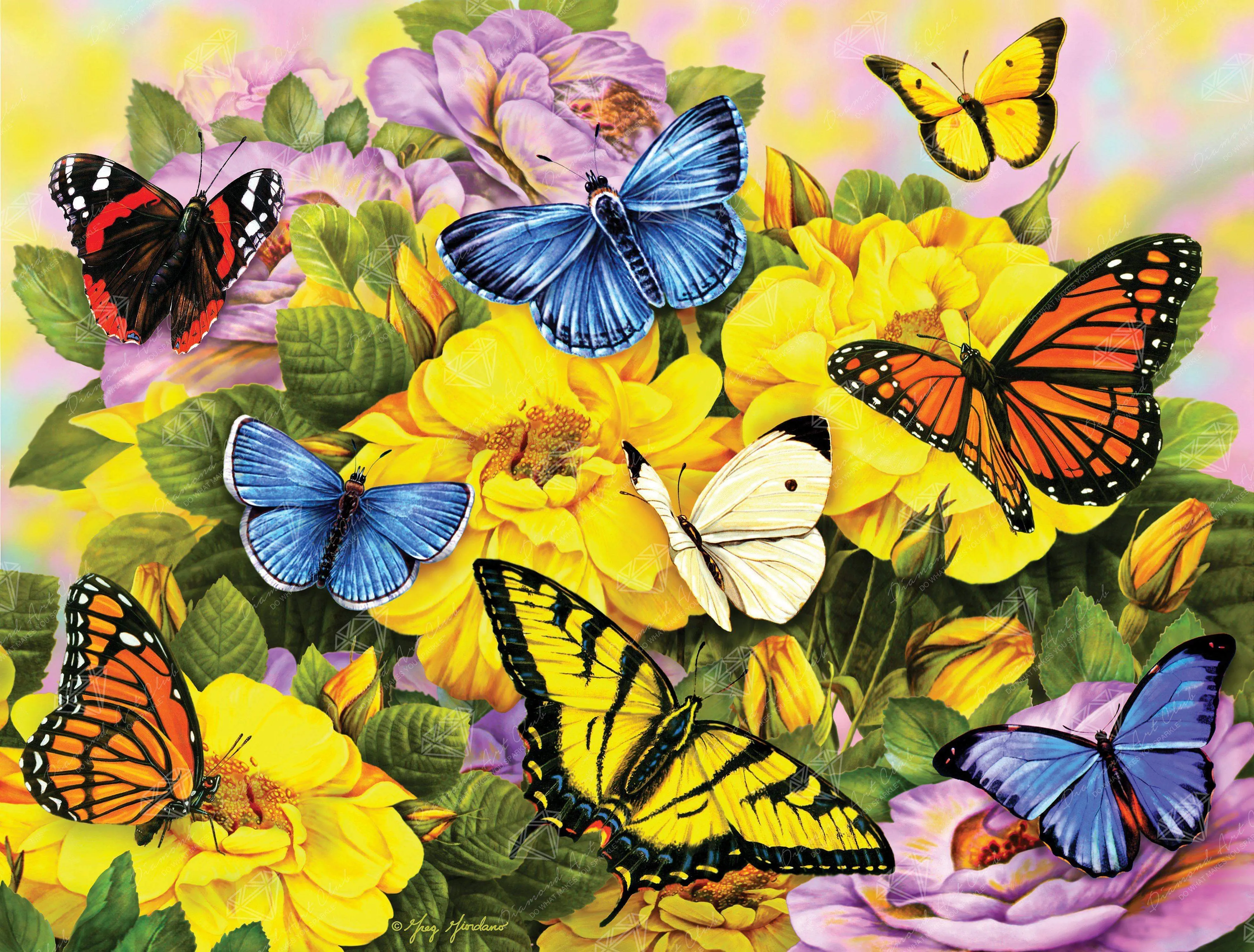 Butterflies 1 511-butterflies-1.webp