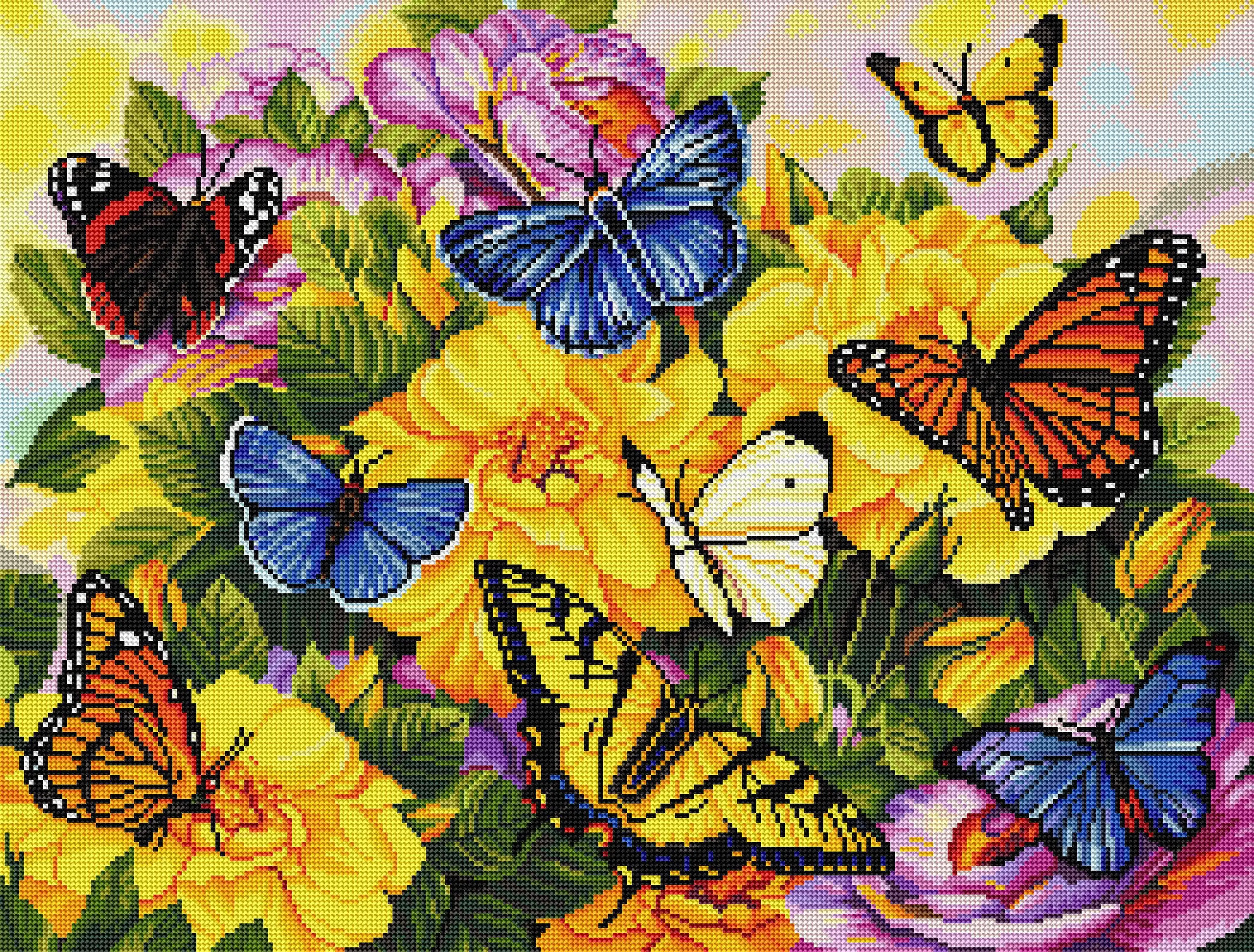 511-butterflies-1.webp