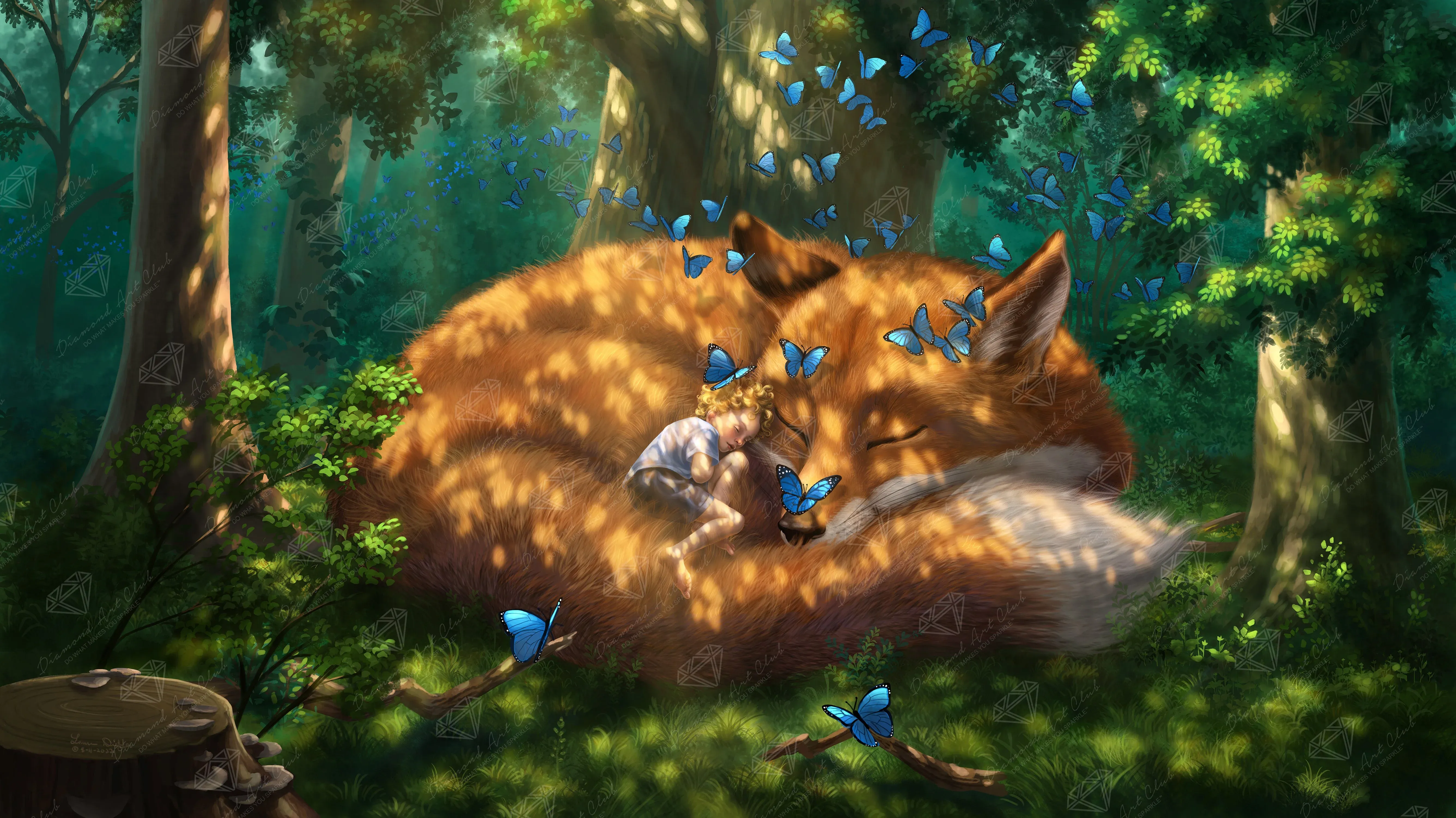 Butterfly Dreams