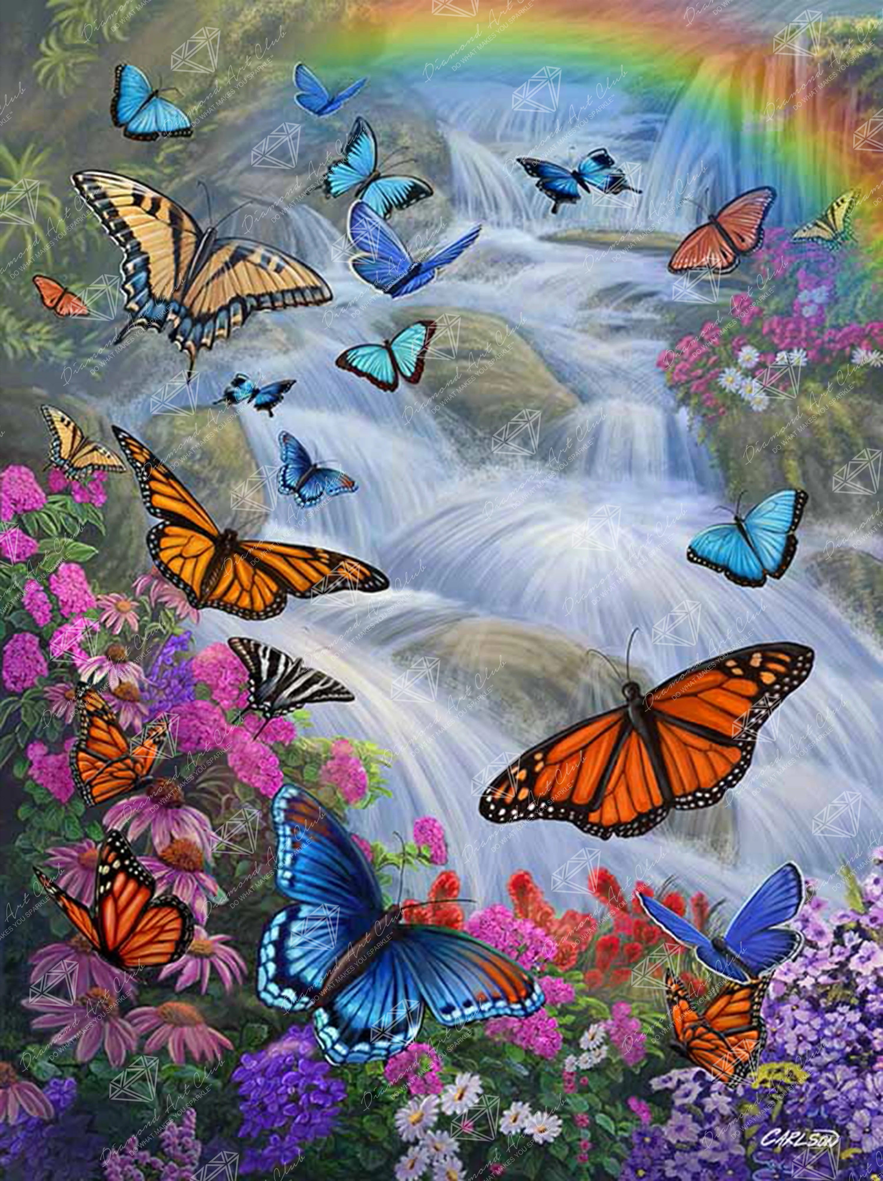 Butterfly Paradise