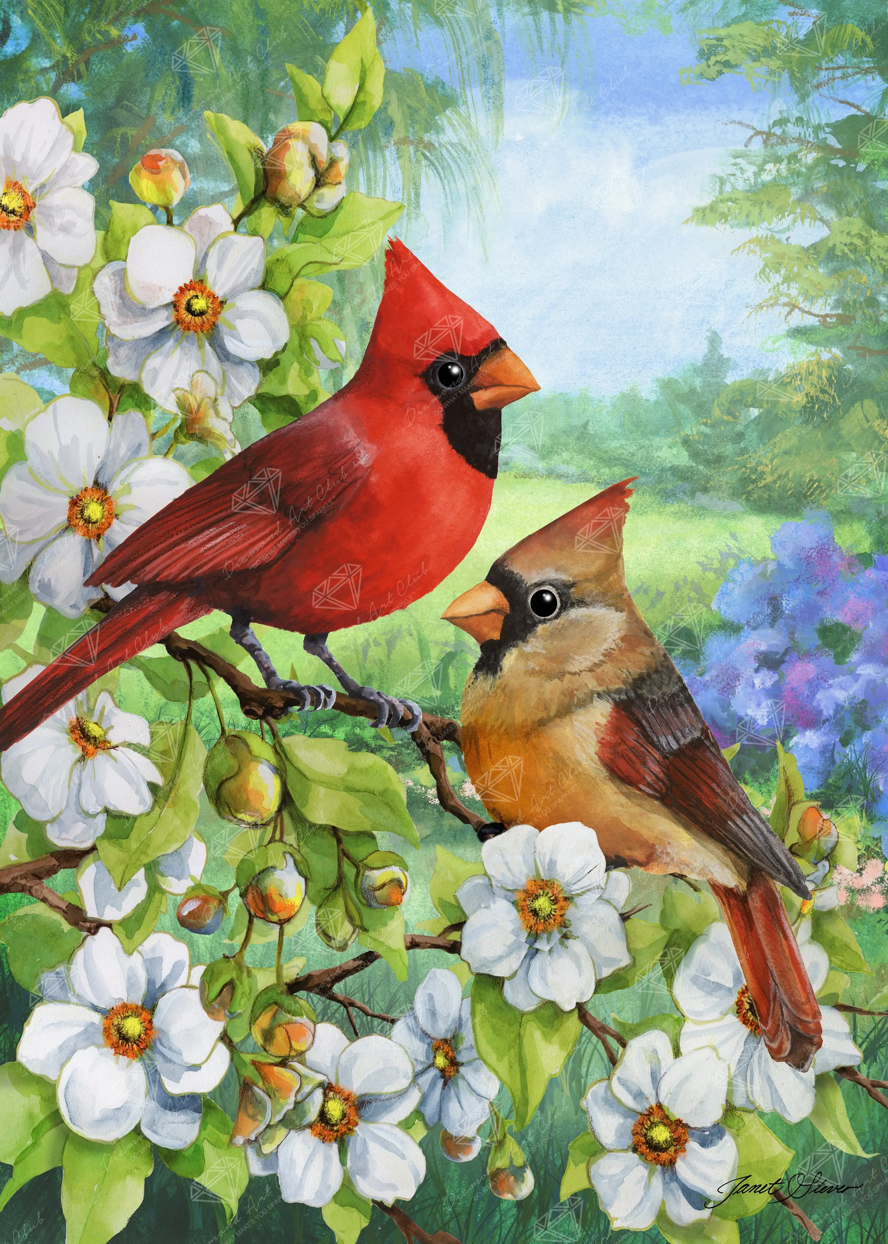 Cardinal Couple