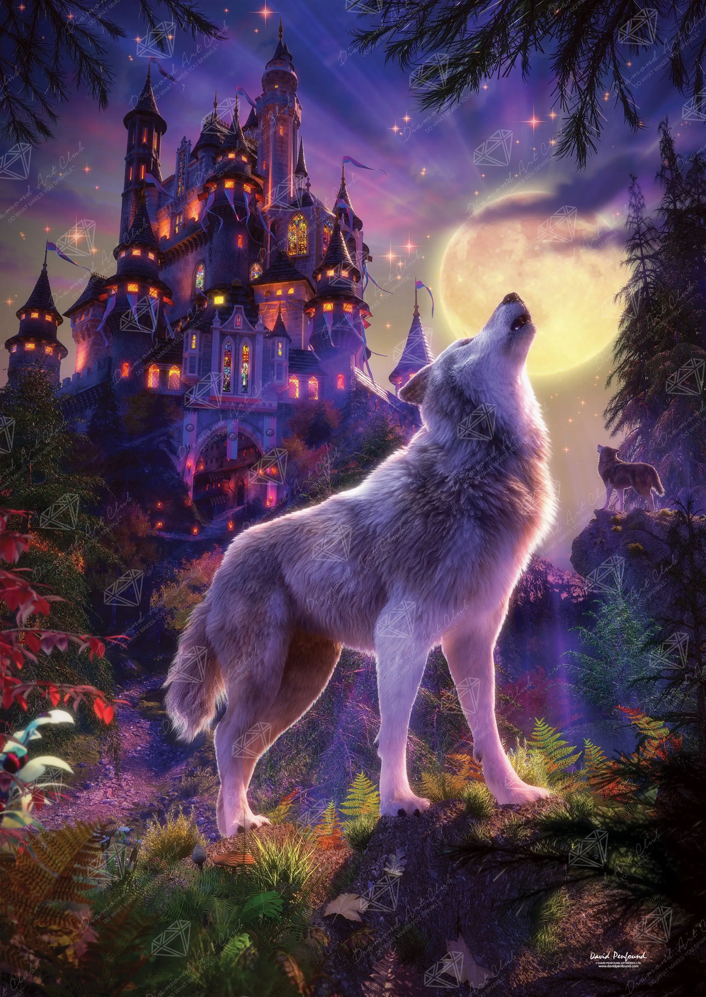 587-castle-wolf-1.webp