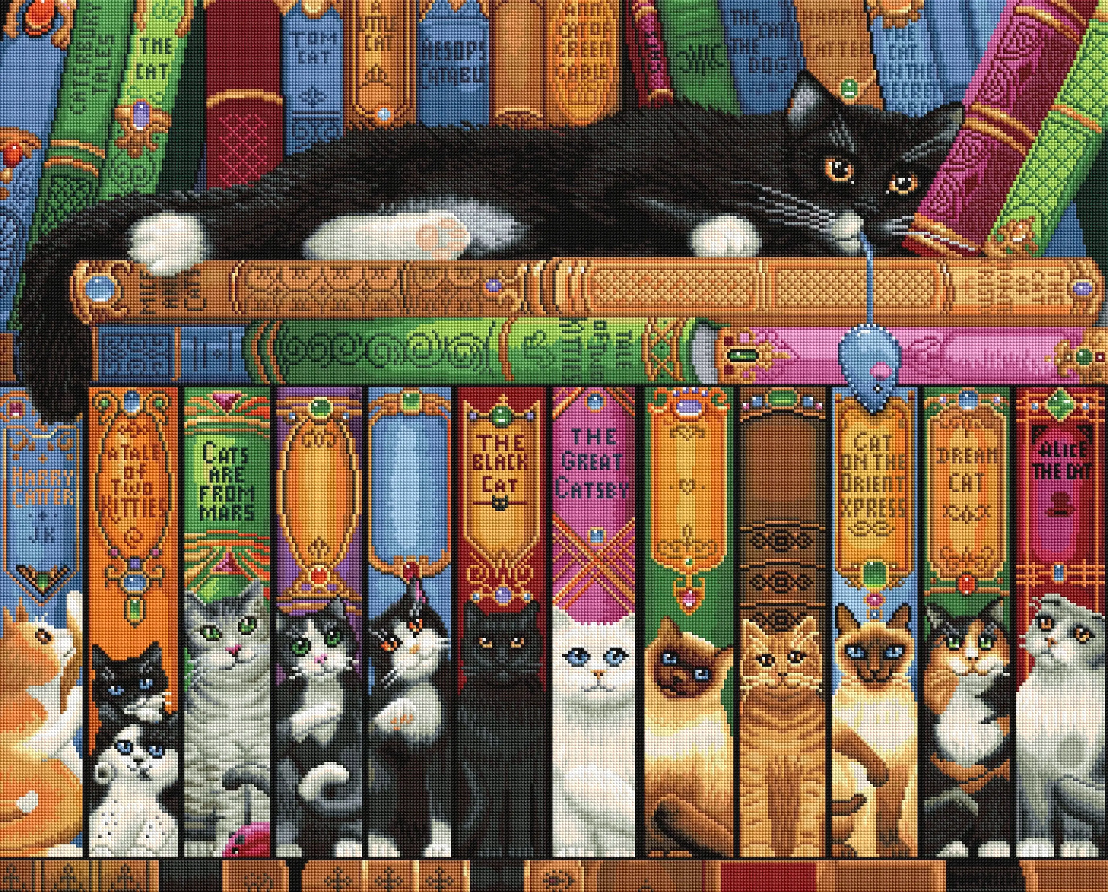 593-cat-bookshelf-1.webp