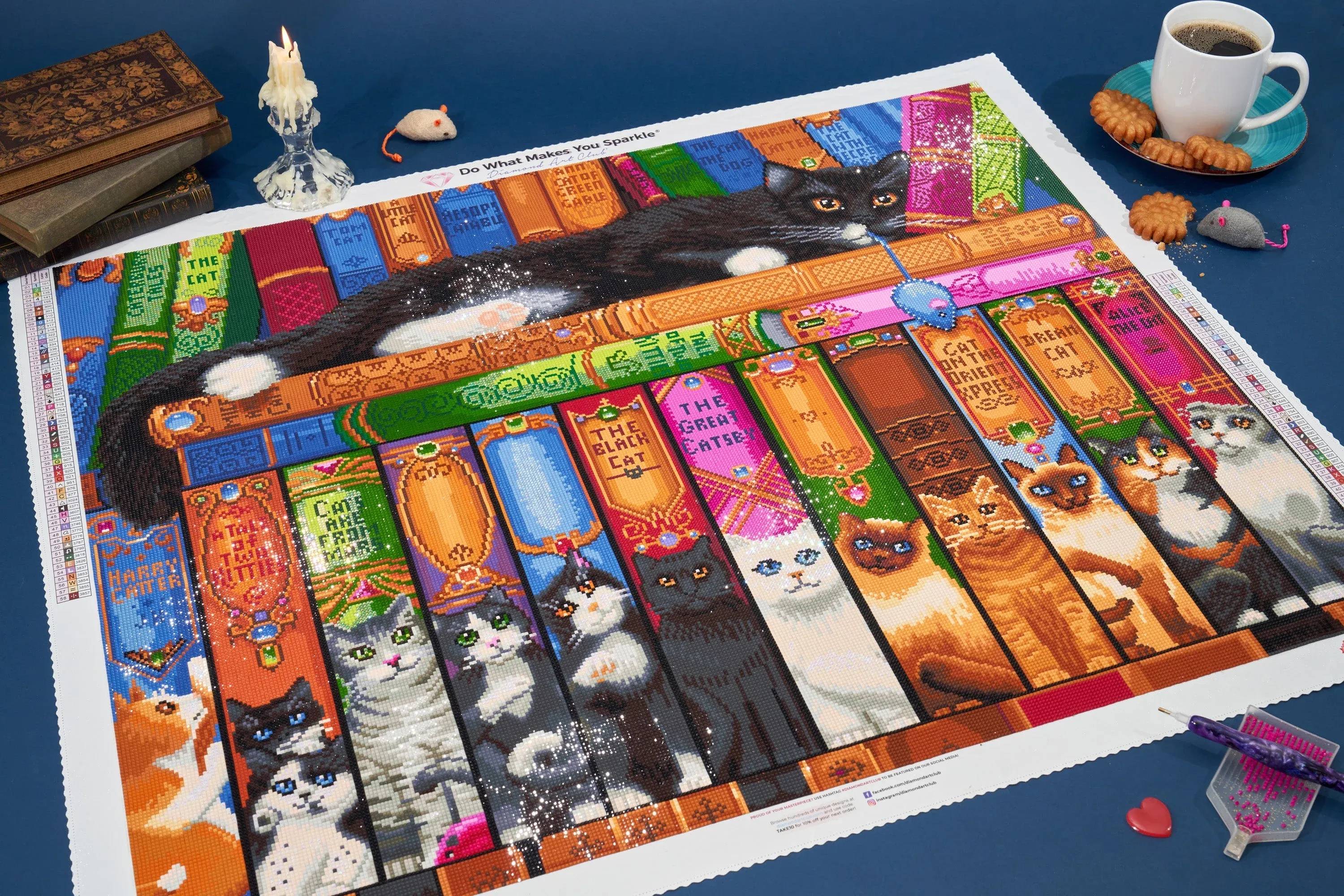 593-cat-bookshelf-1.webp