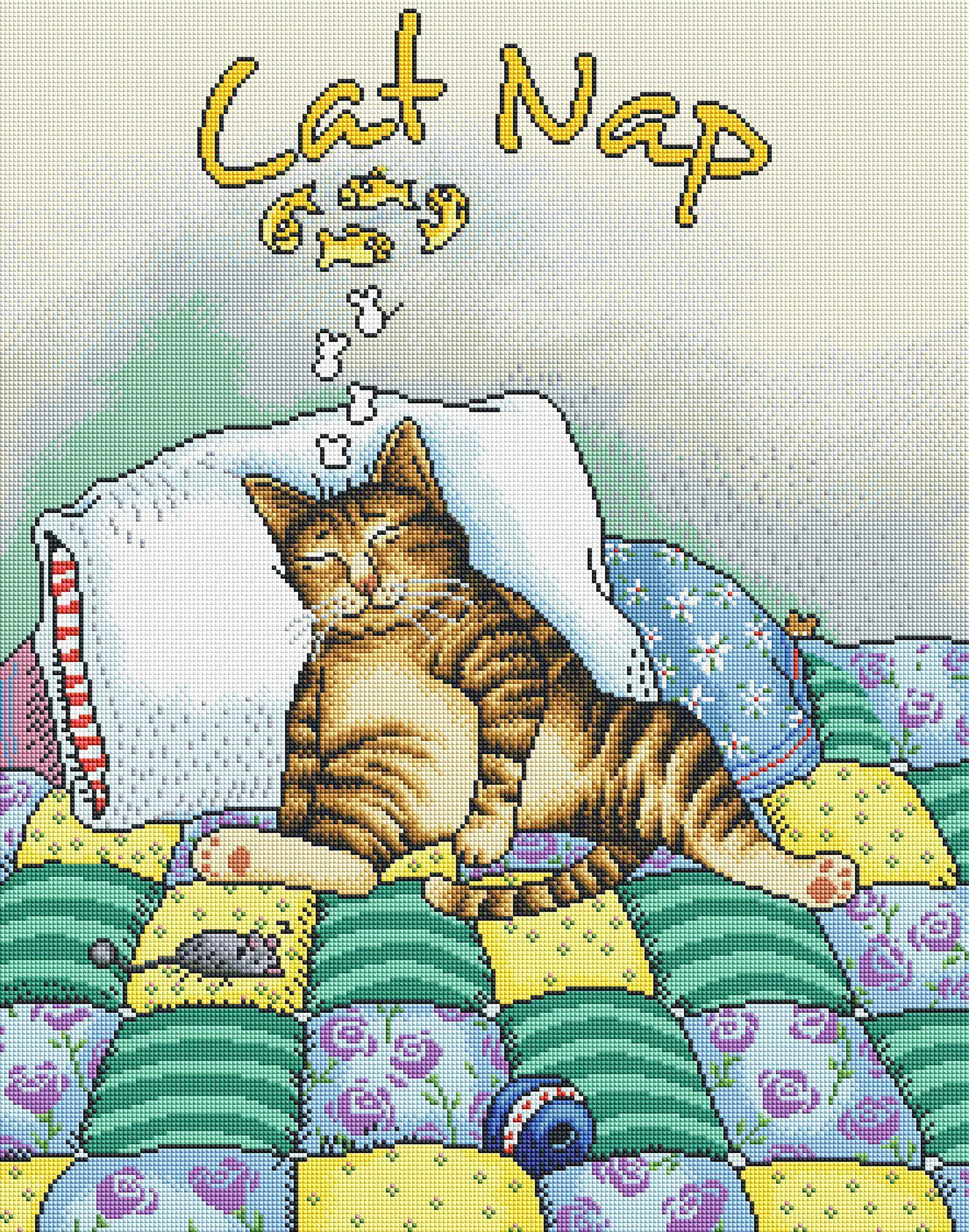 596-cat-nap-1.webp