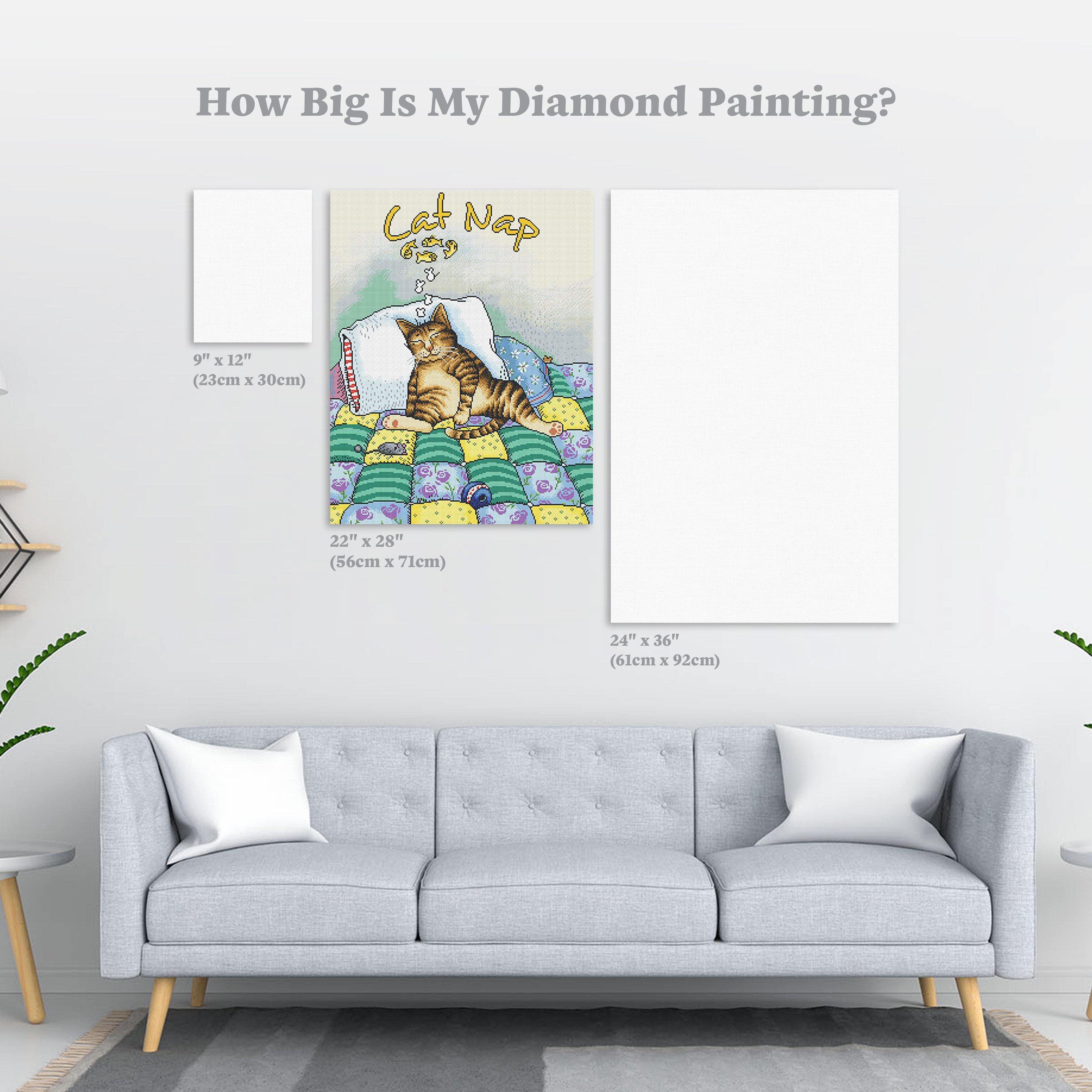 596-cat-nap-1.webp