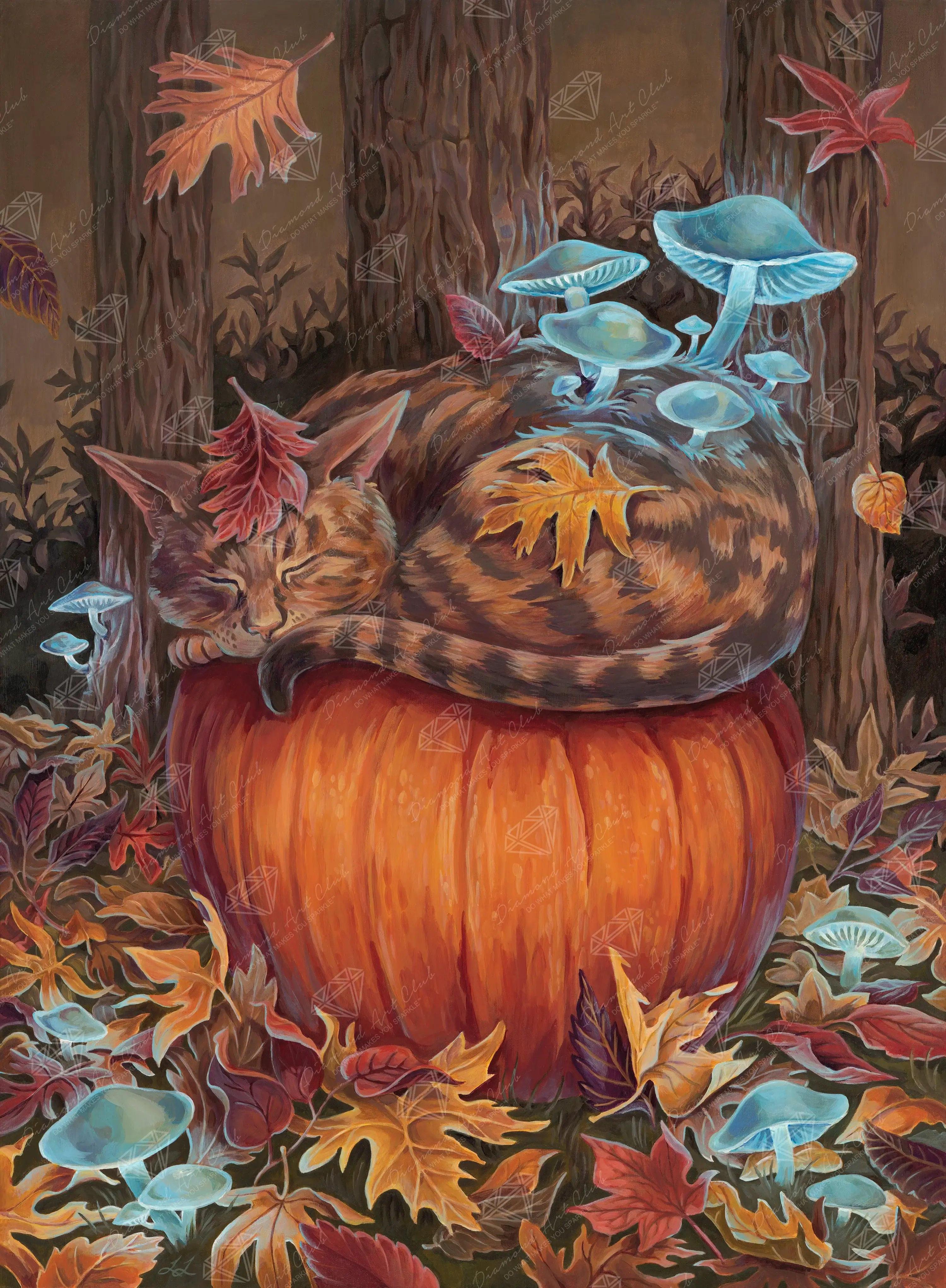 597-cat-nap-1.webp
