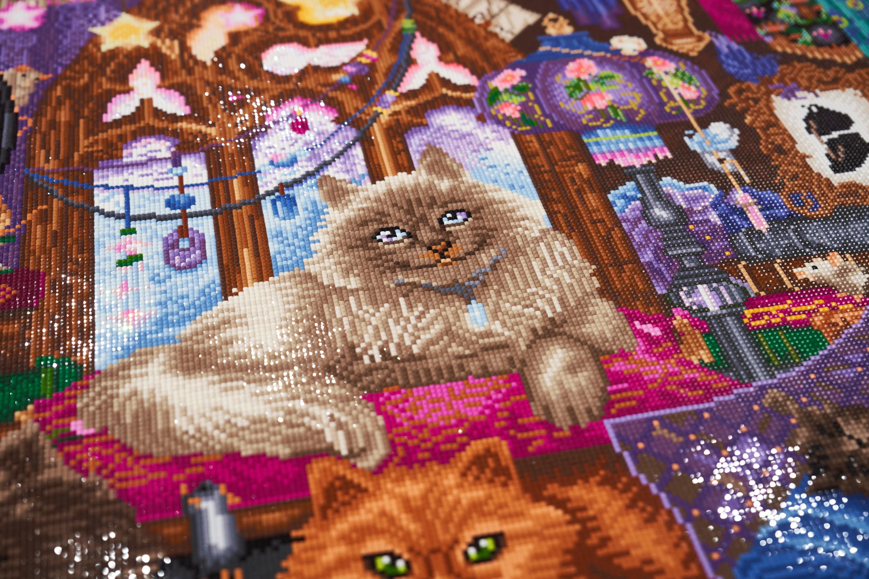 608-cats-1.webp