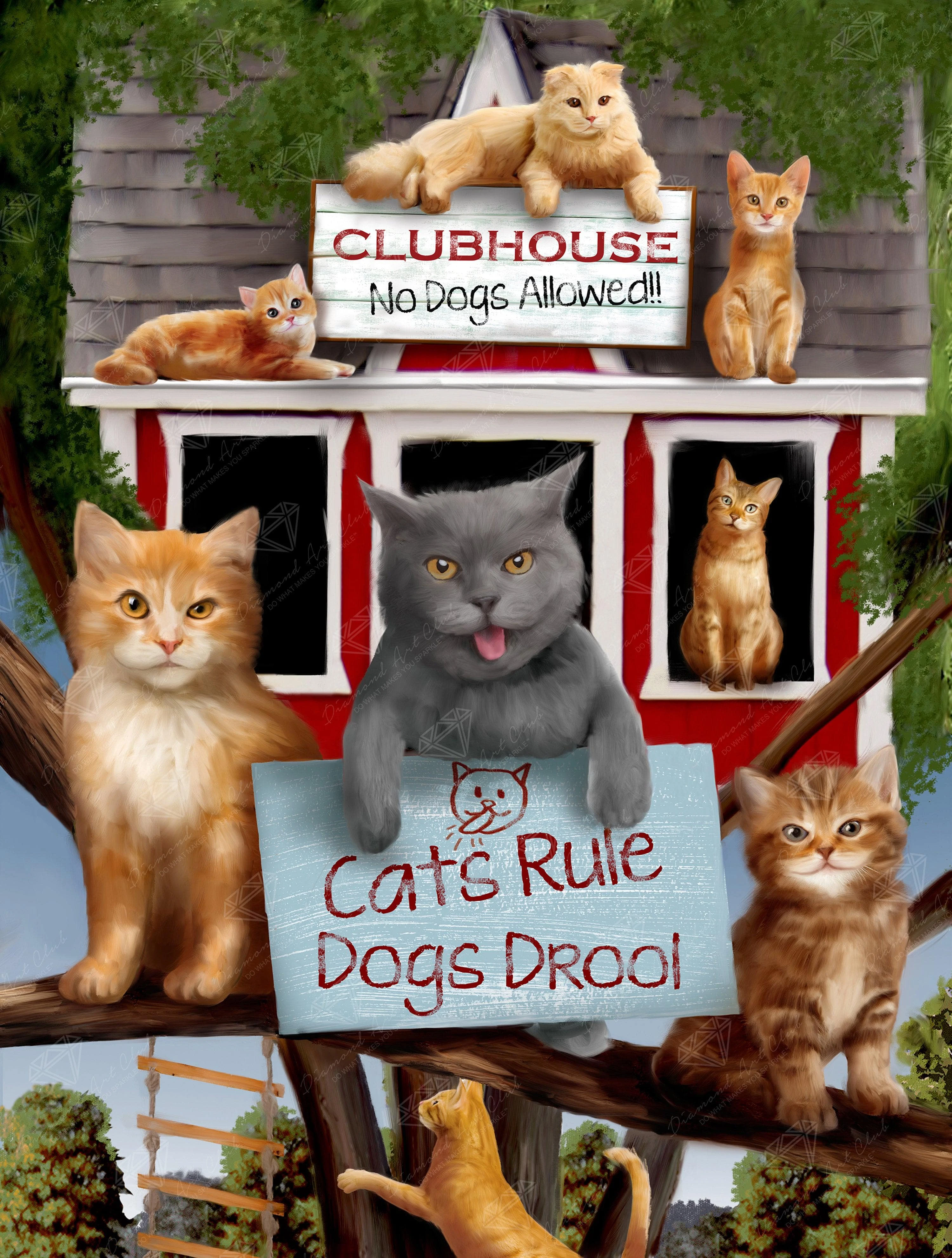 Cats Rule