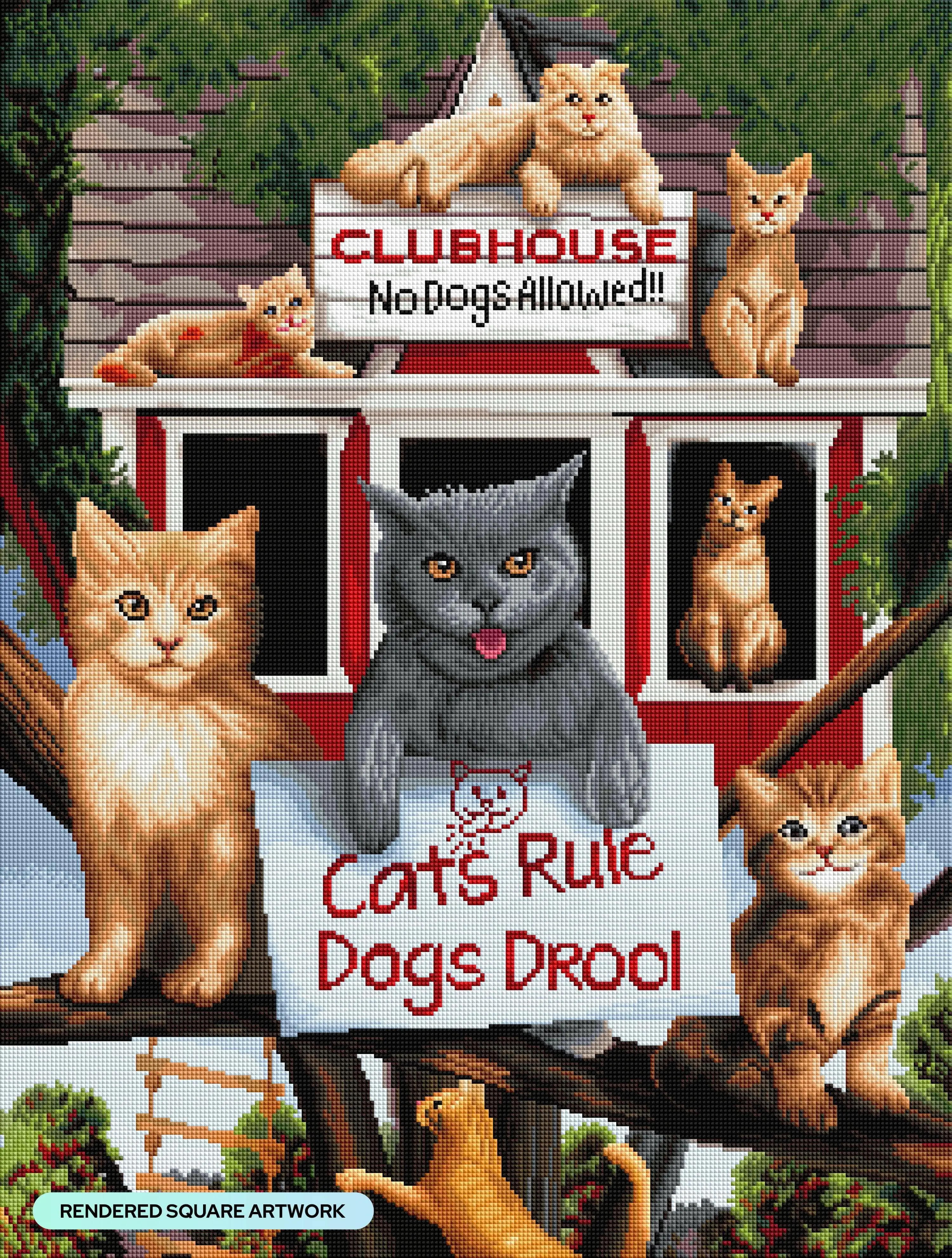Cats Rule