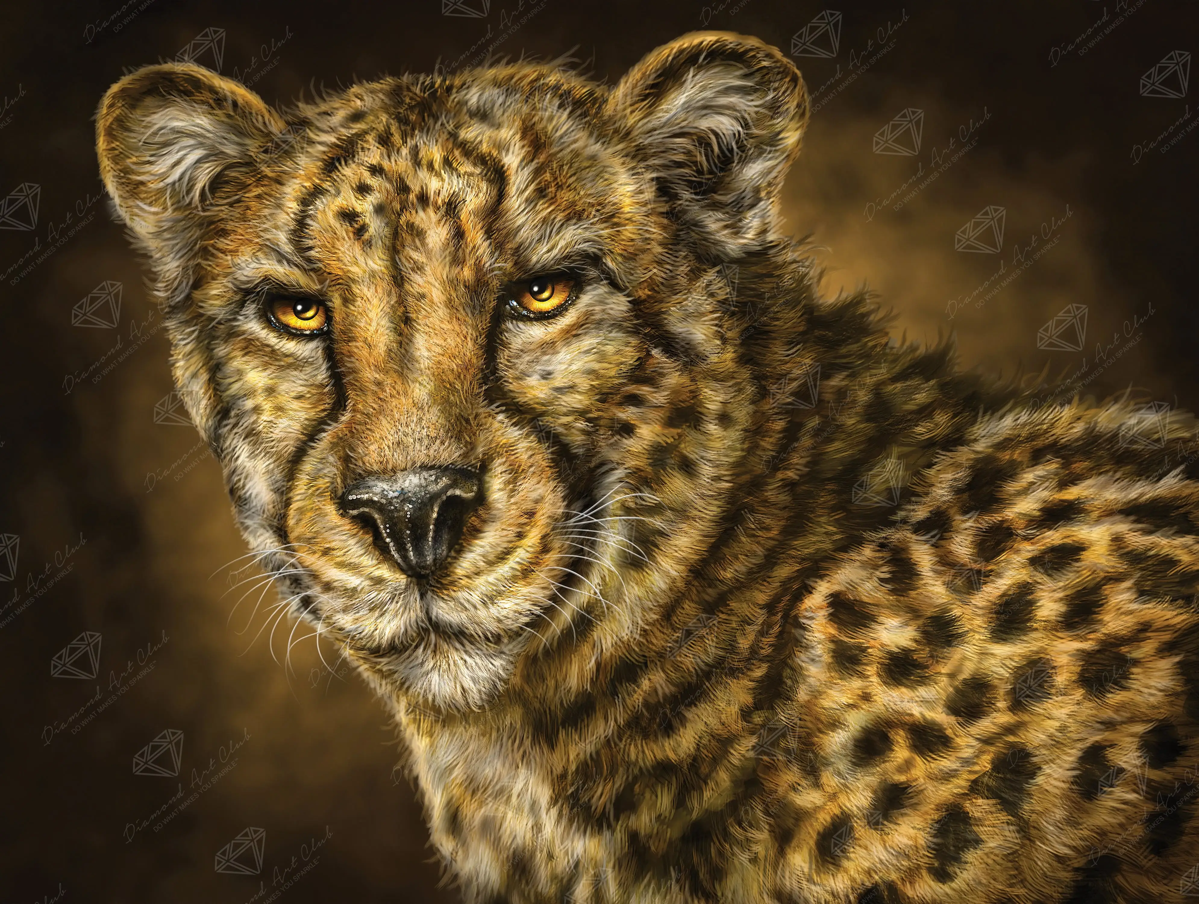 Cheetah