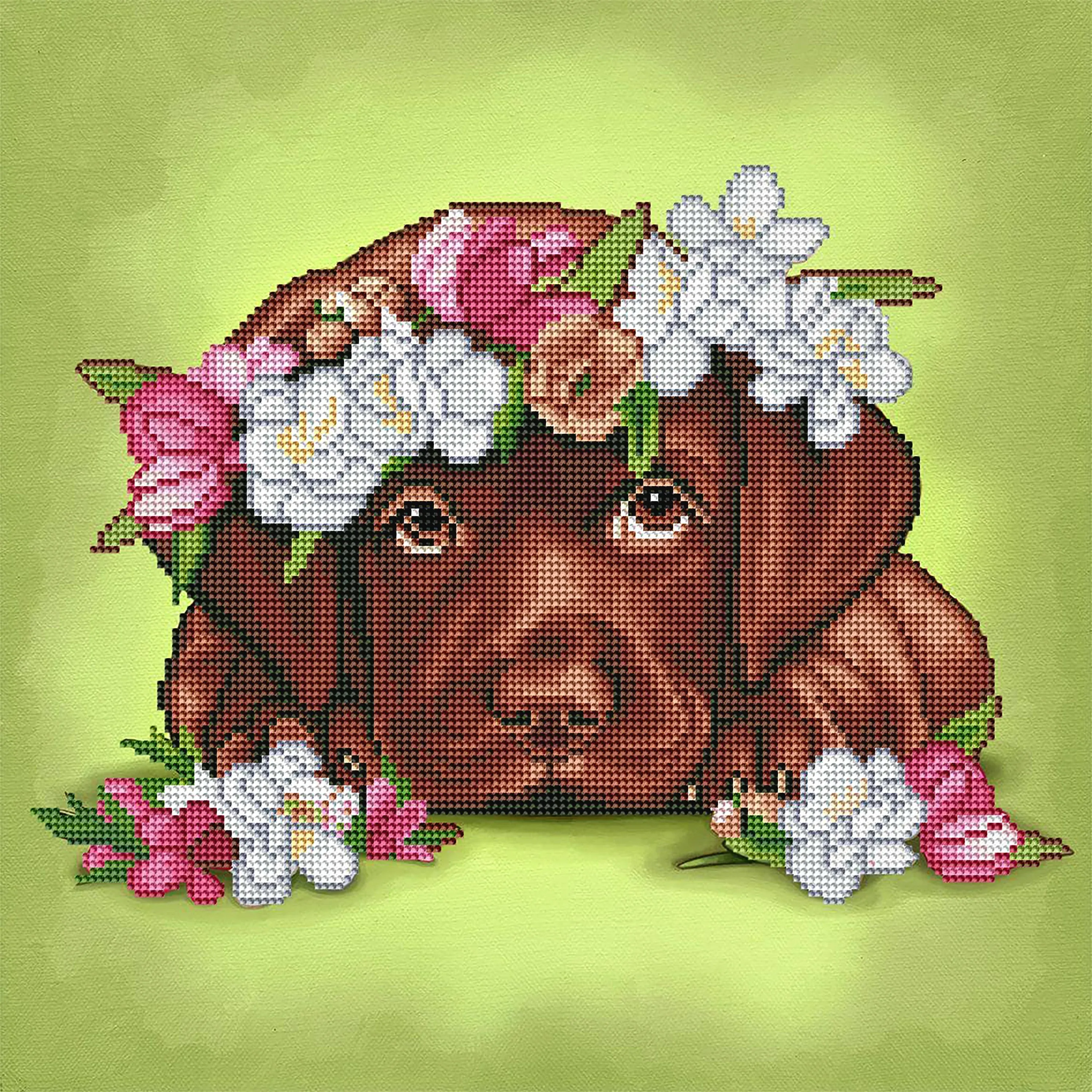 652-chocolate-labrador-1.webp