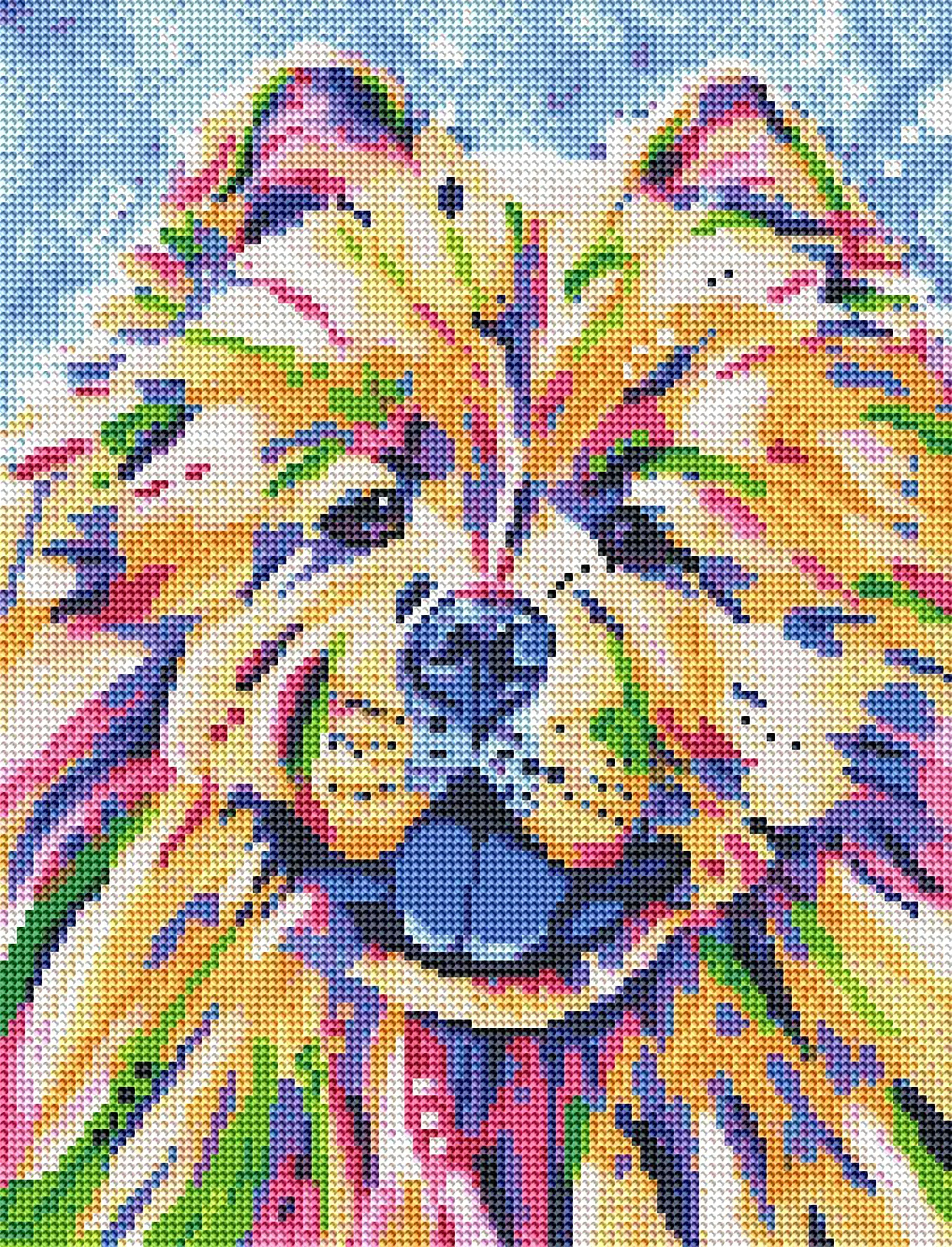 Chow Chow
