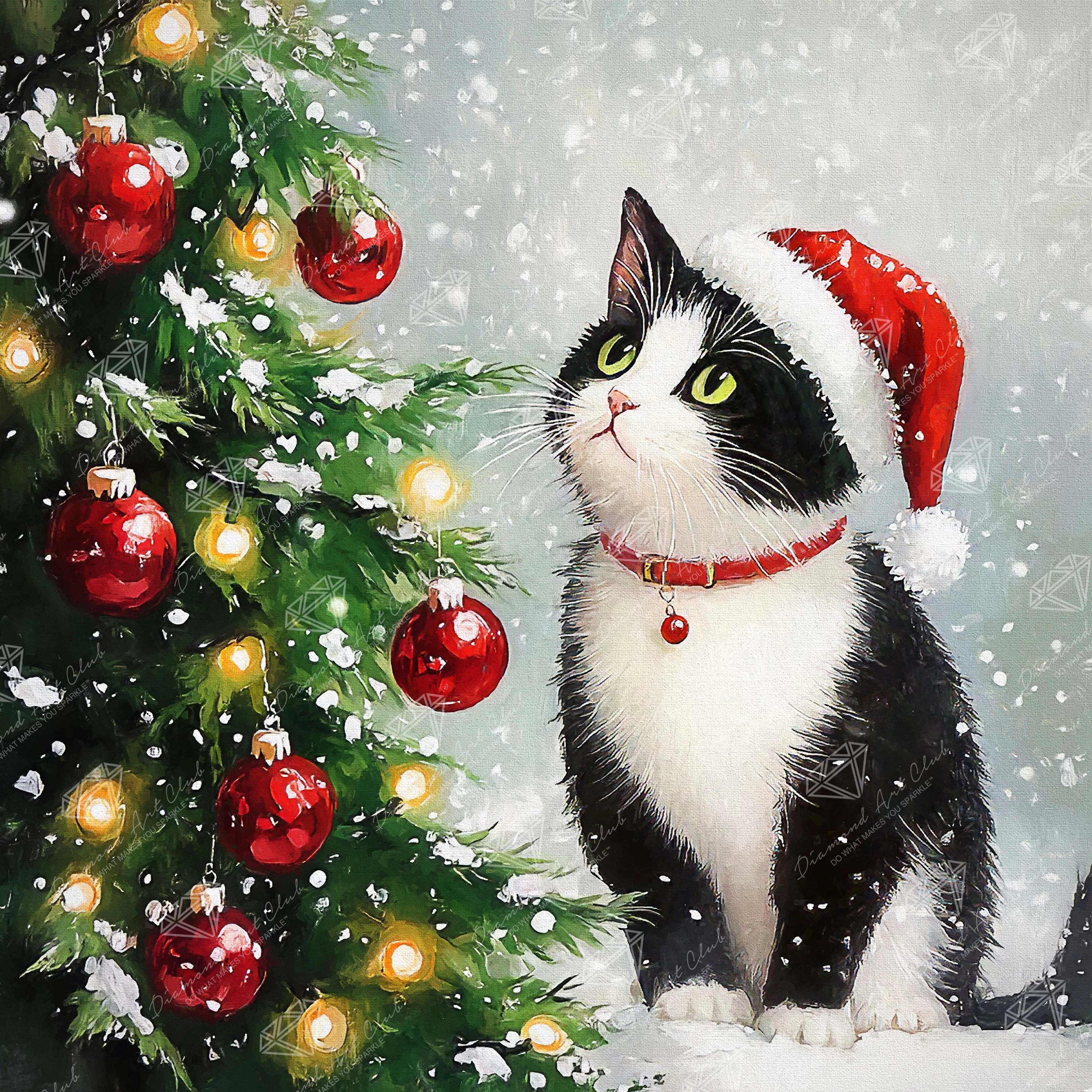 Christmas Tree Contemplation