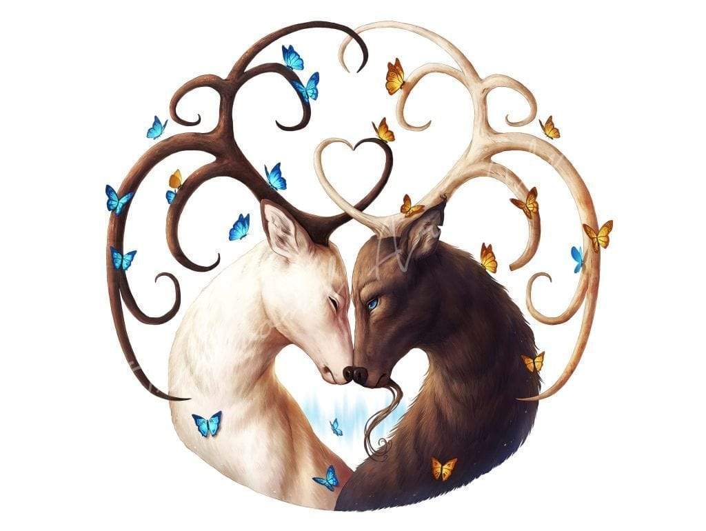 Circle of Life