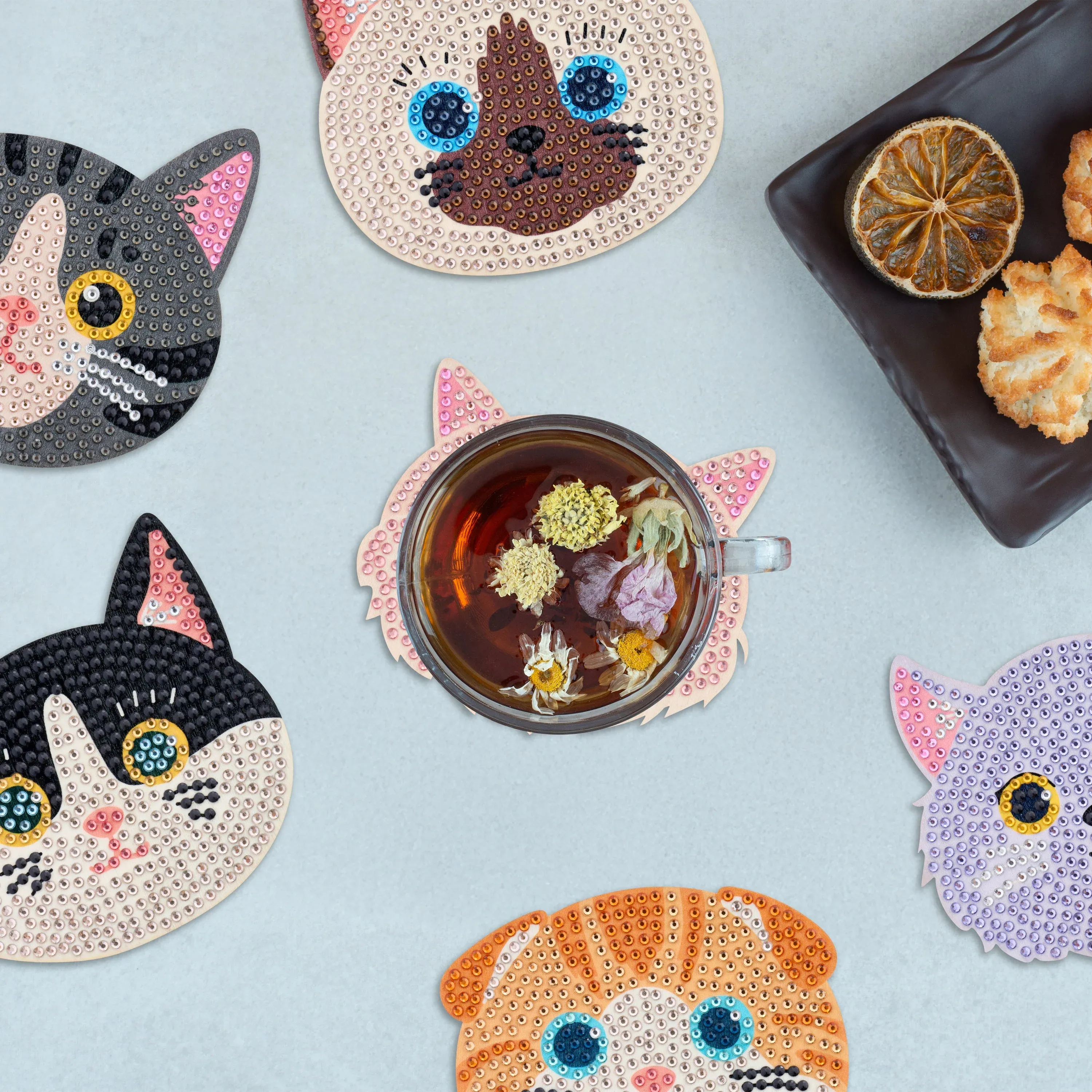 730-coasters-cats-1.webp