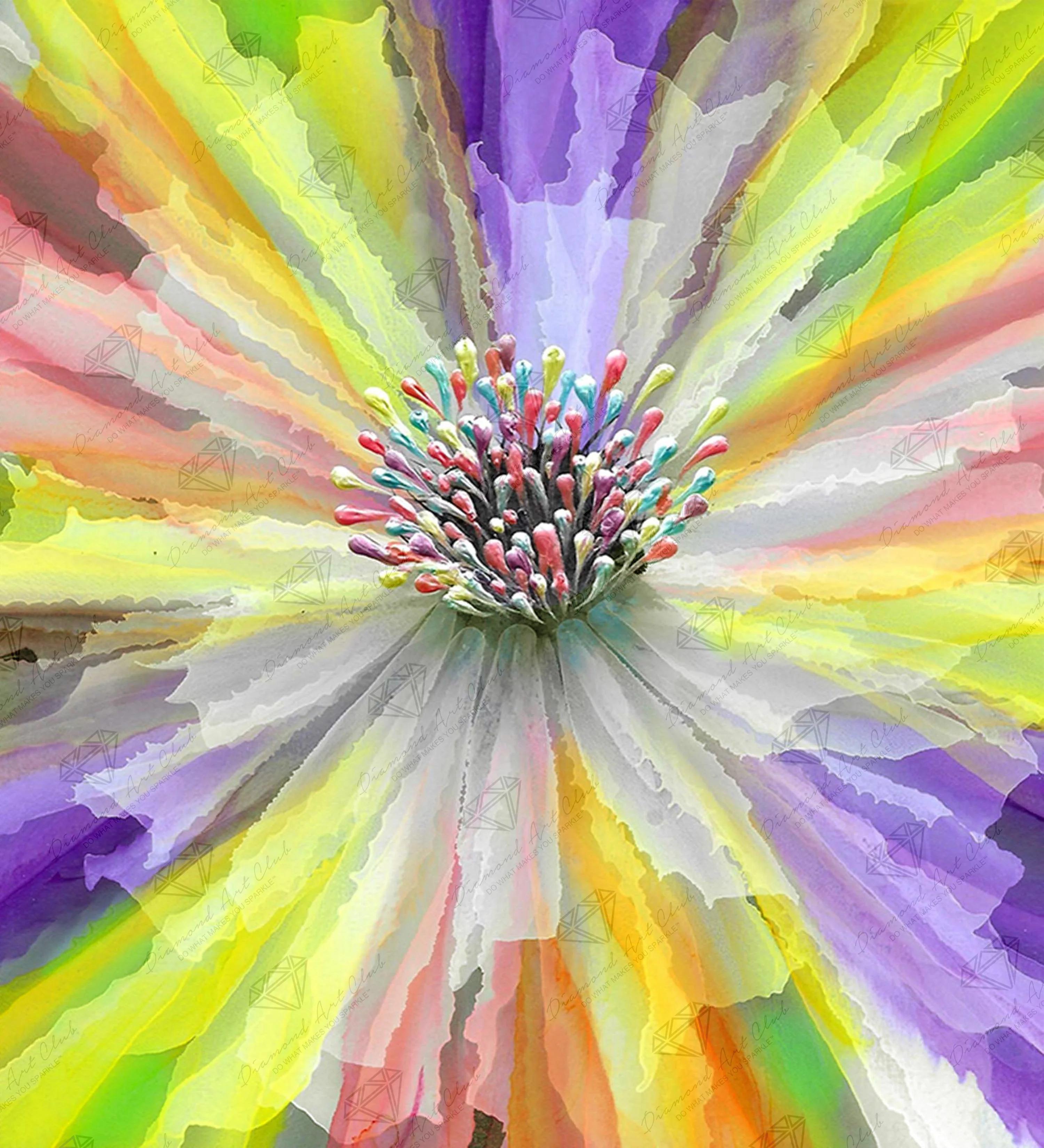 Color Explosion