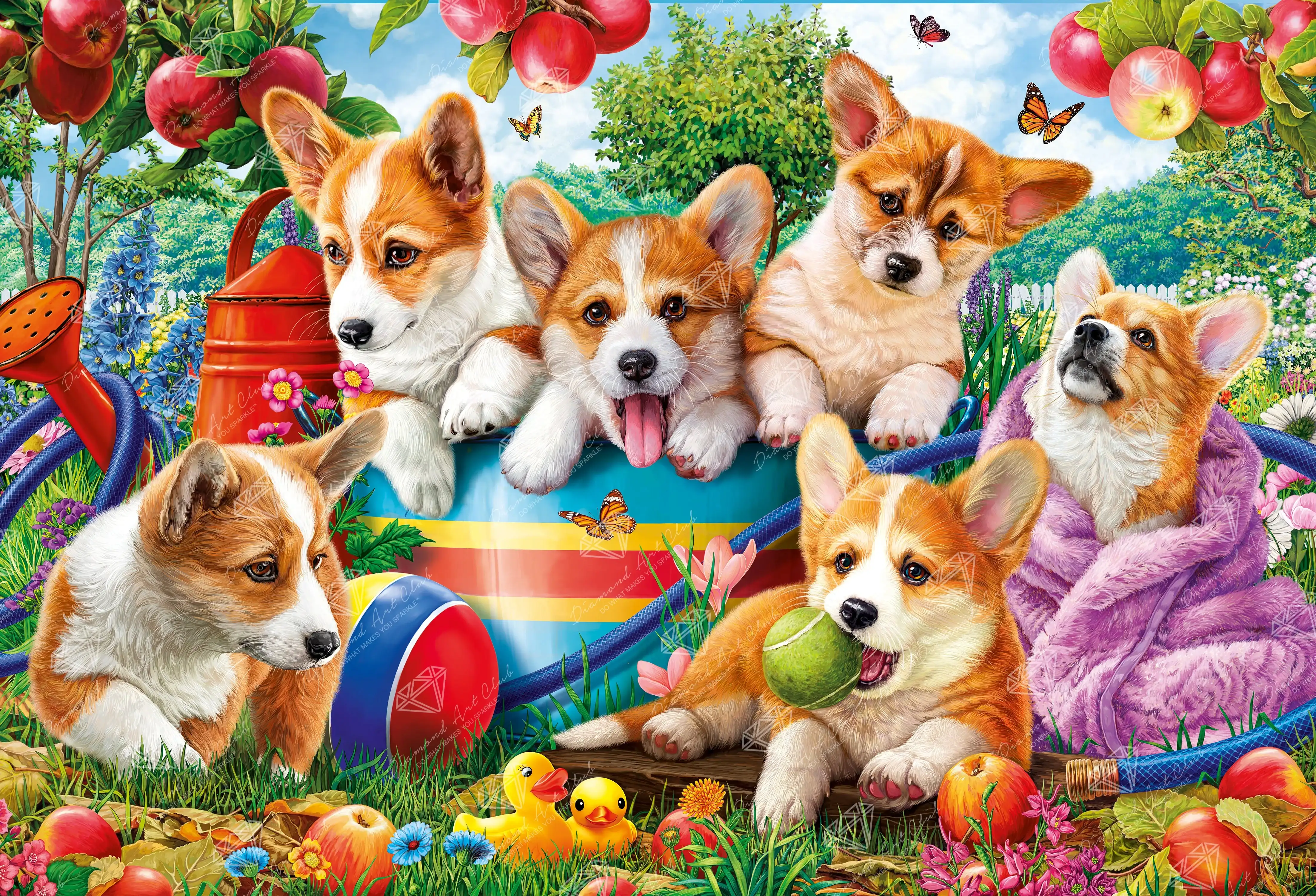 Cute Puppies