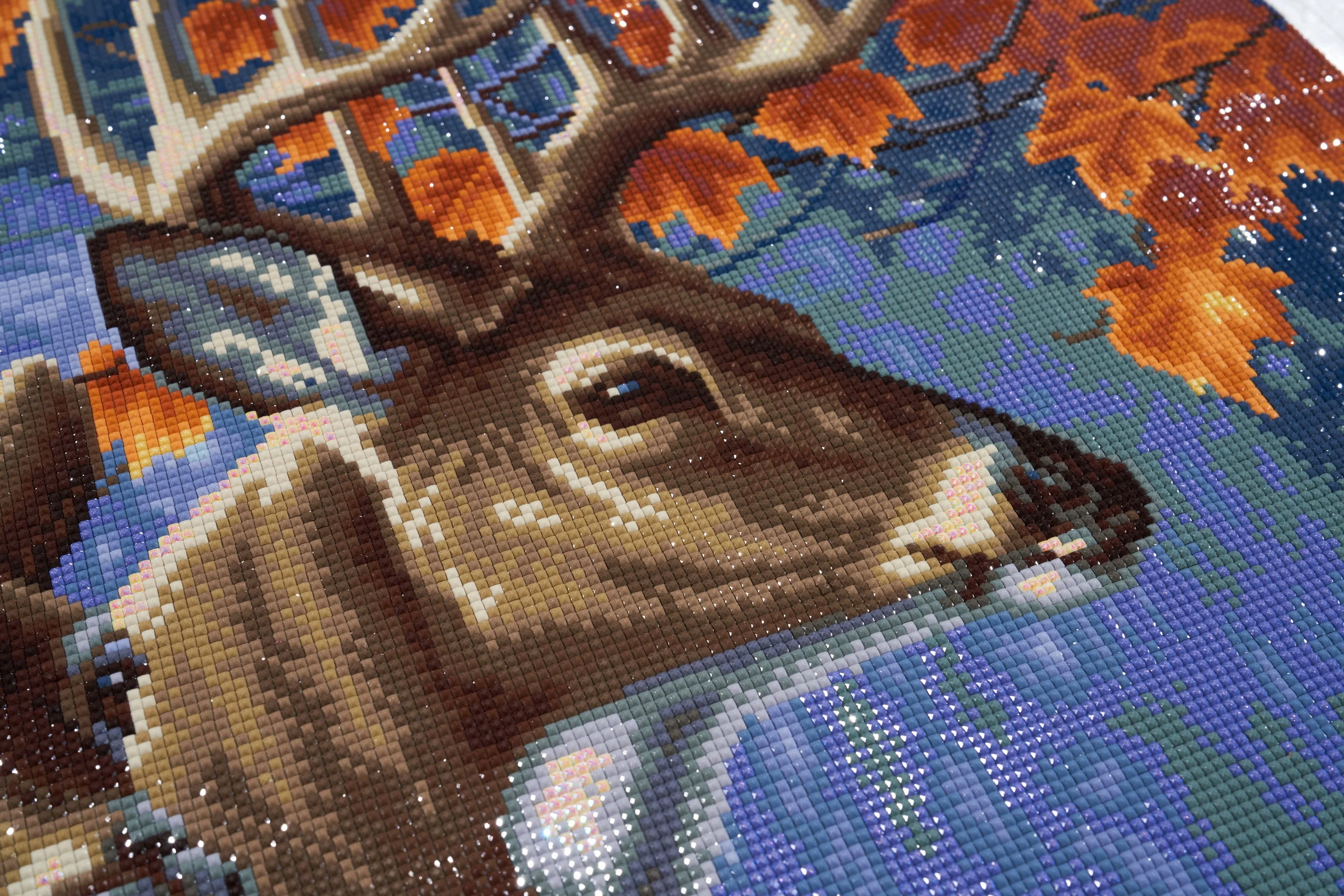 875-deer-pair-1.webp