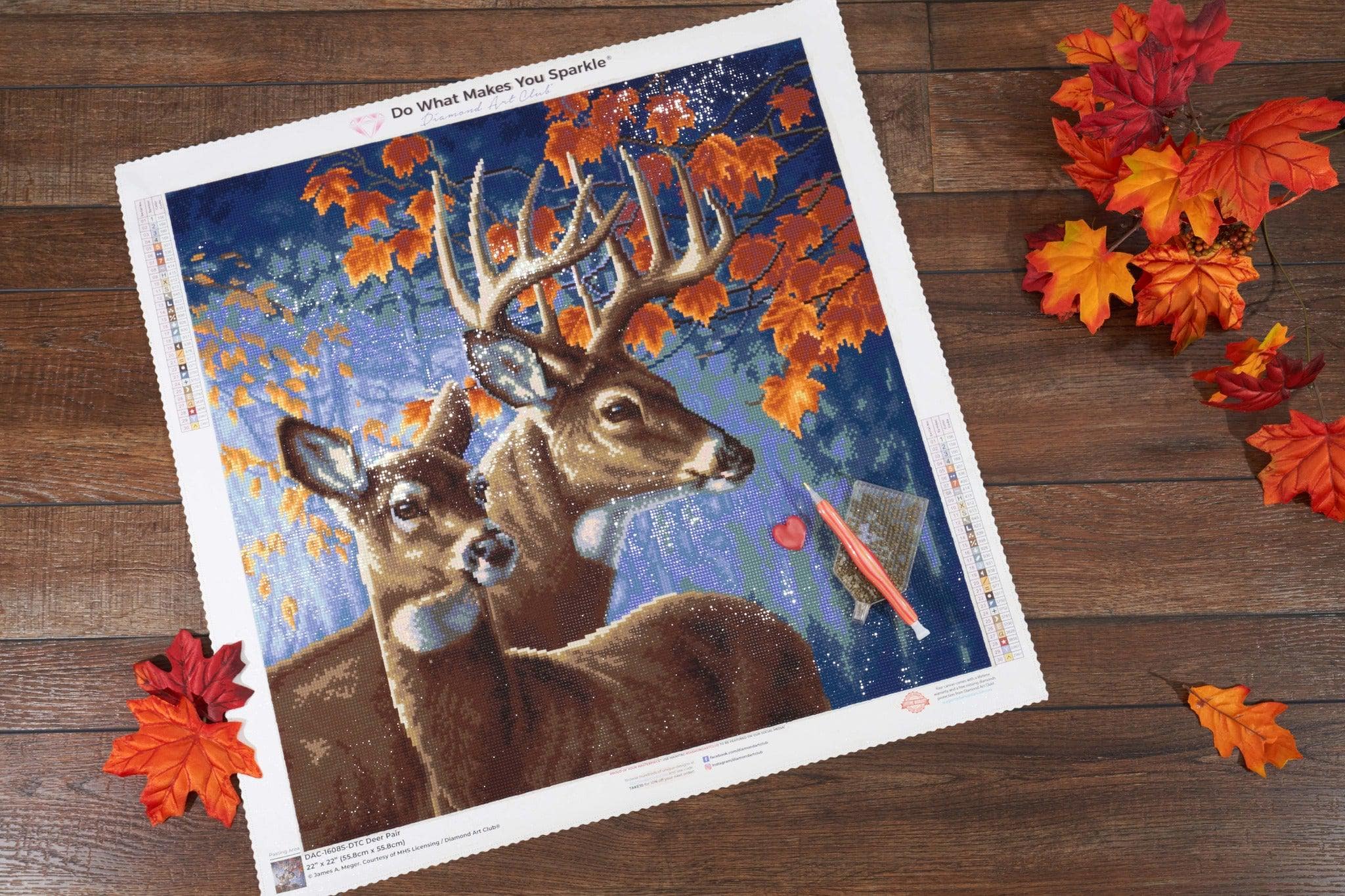 875-deer-pair-1.webp