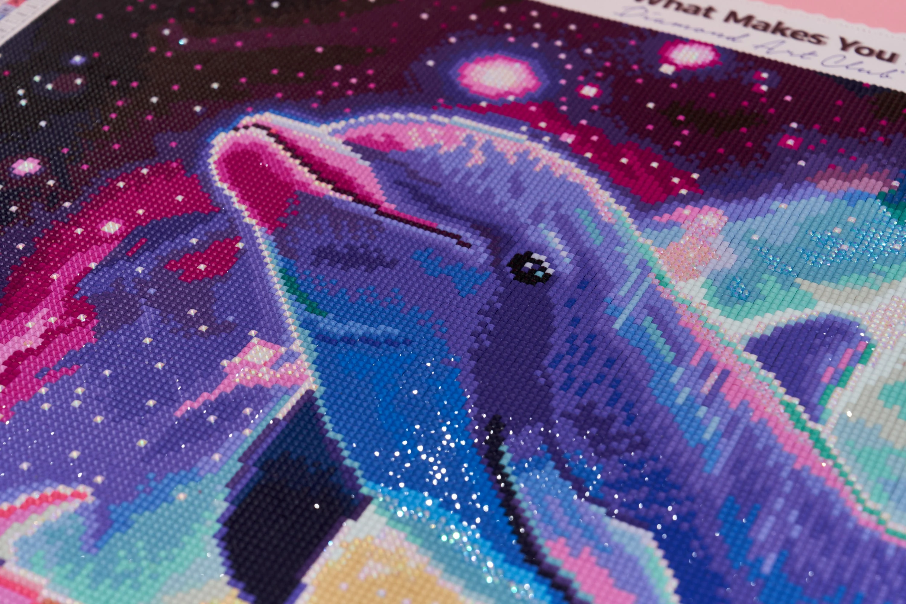 941-dolphins-1.webp