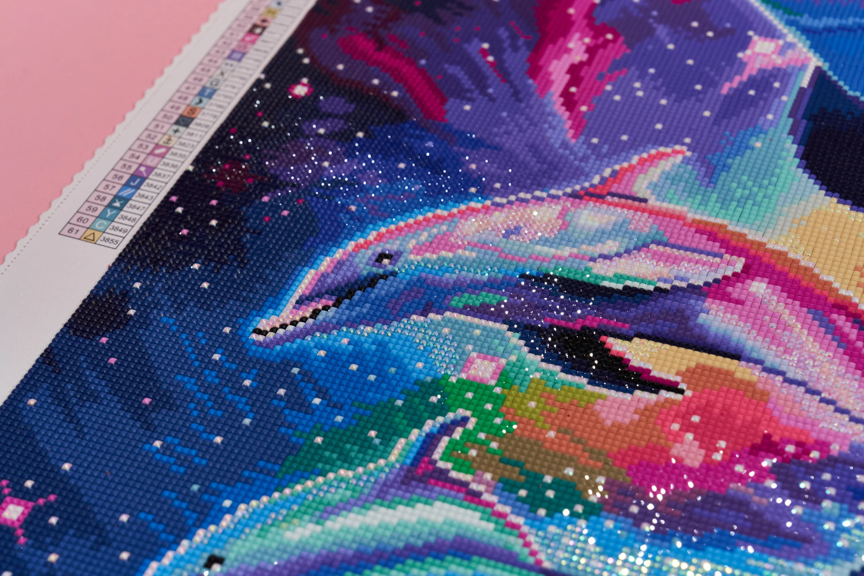 941-dolphins-1.webp